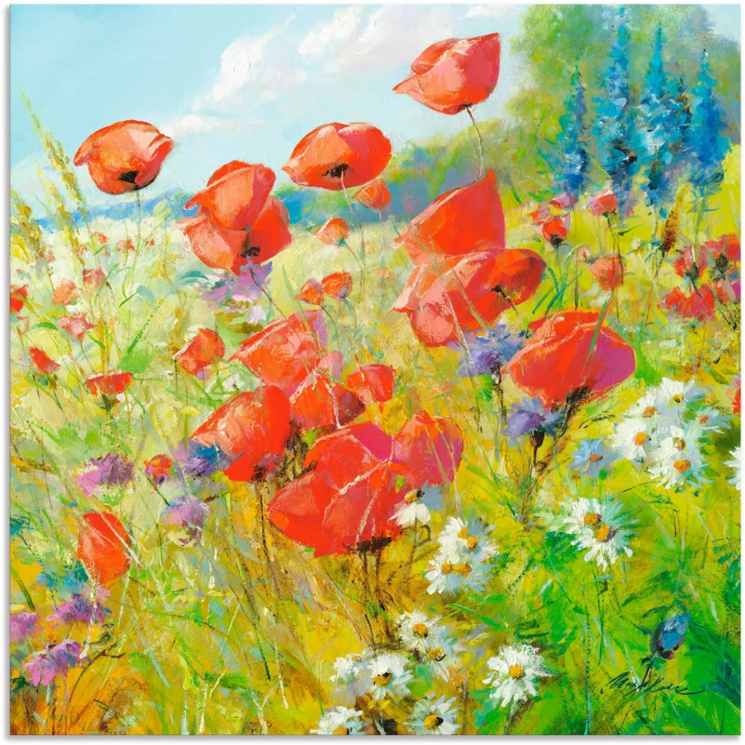 Artland Wandbild "Sommerwiese mit Mohnblumen", Blumenwiese, (1 St.), als Al günstig online kaufen