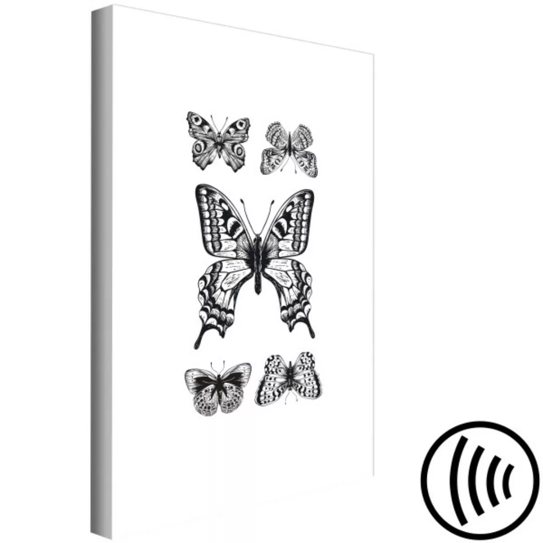 Bild auf Leinwand Five Butterflies (1 Part) Vertical XXL günstig online kaufen
