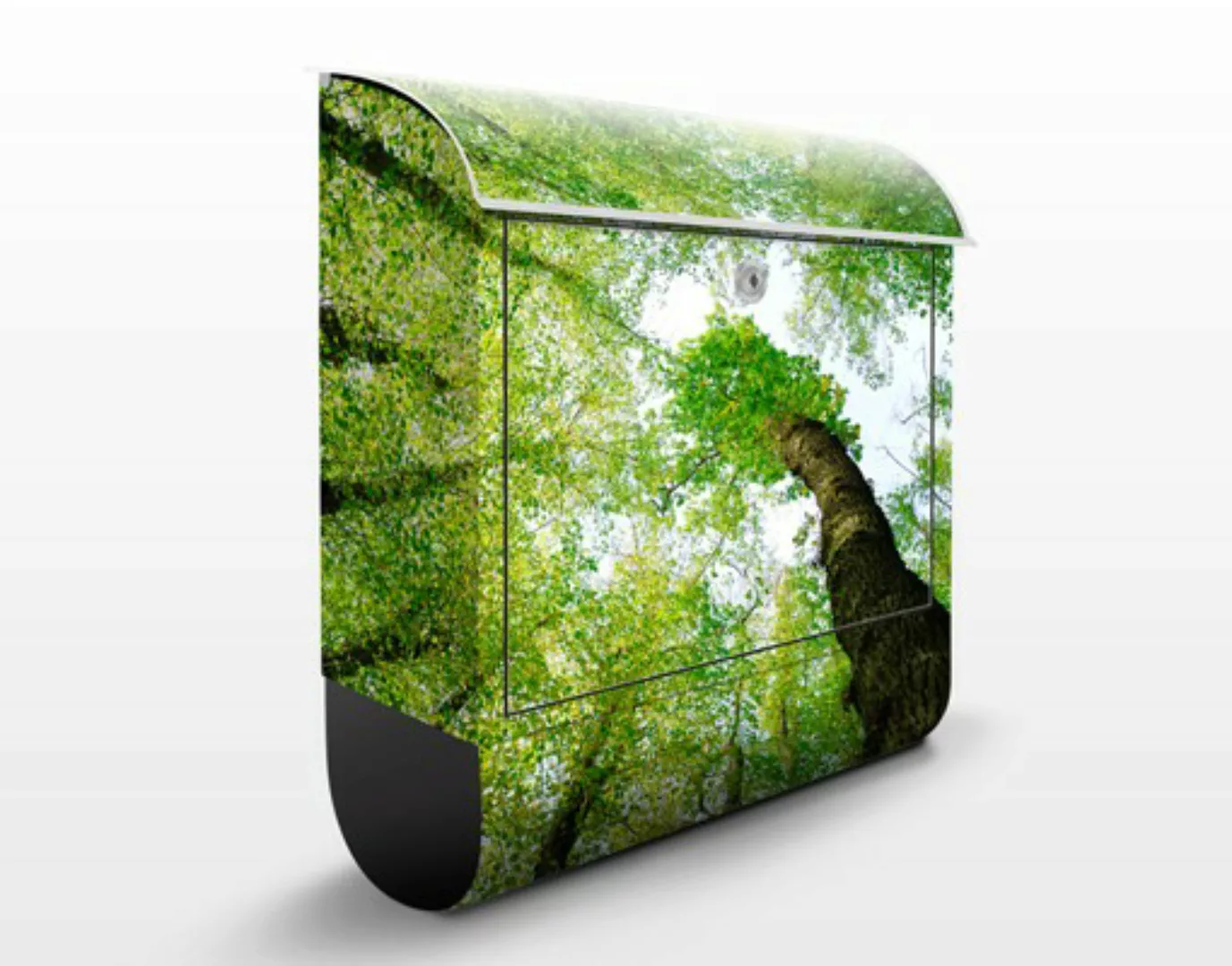 Briefkasten Natur & Landschaft Bäume des Lebens günstig online kaufen