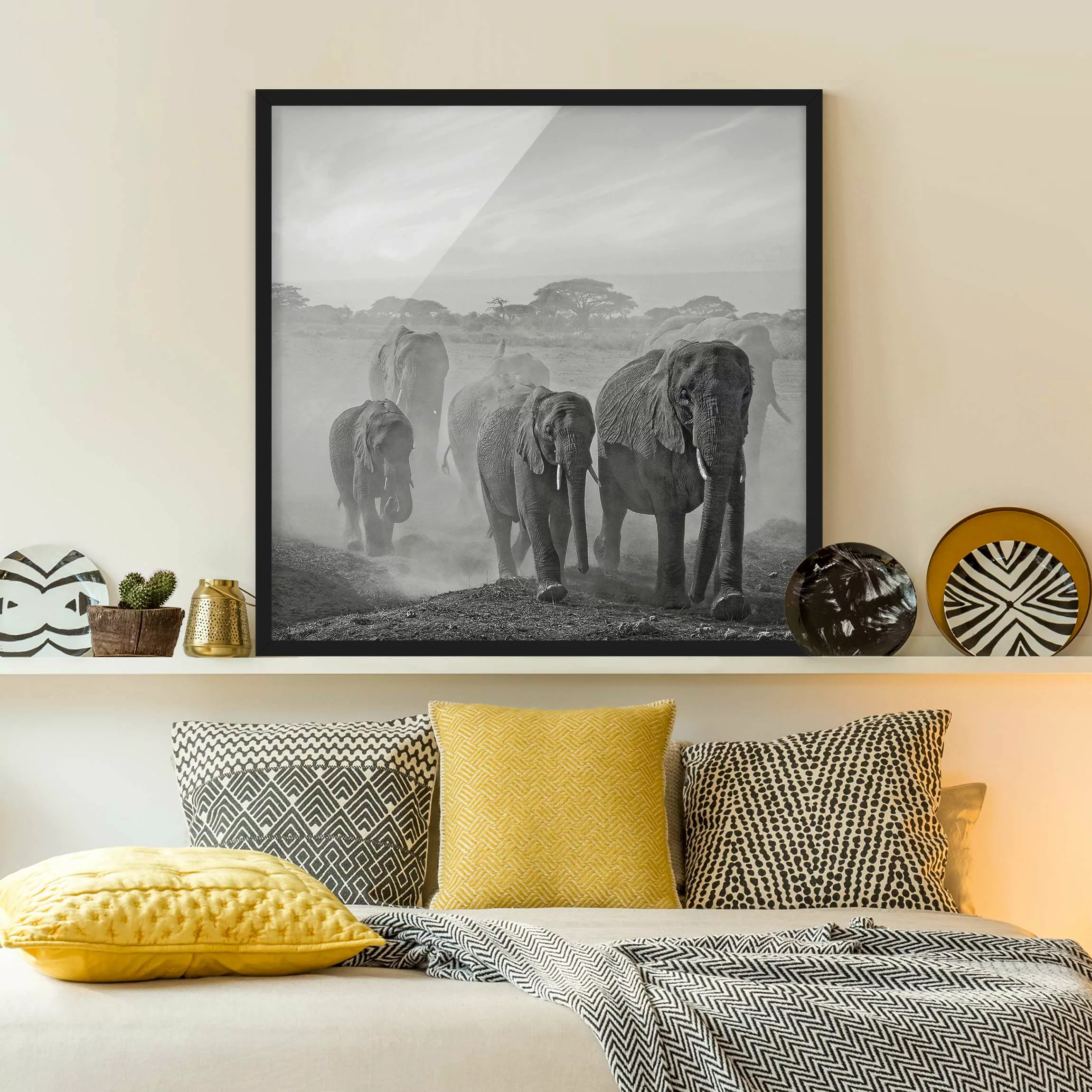 Bild mit Rahmen Schwarz-Weiß - Quadrat Elefantenherde günstig online kaufen