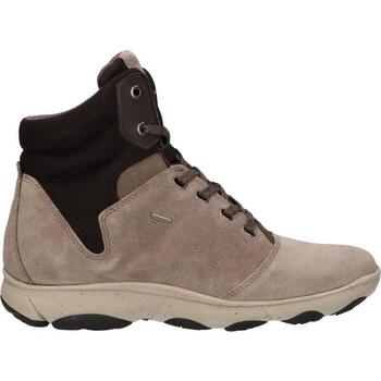 Geox  Stiefeletten D746TA 02214 D NEBULA günstig online kaufen