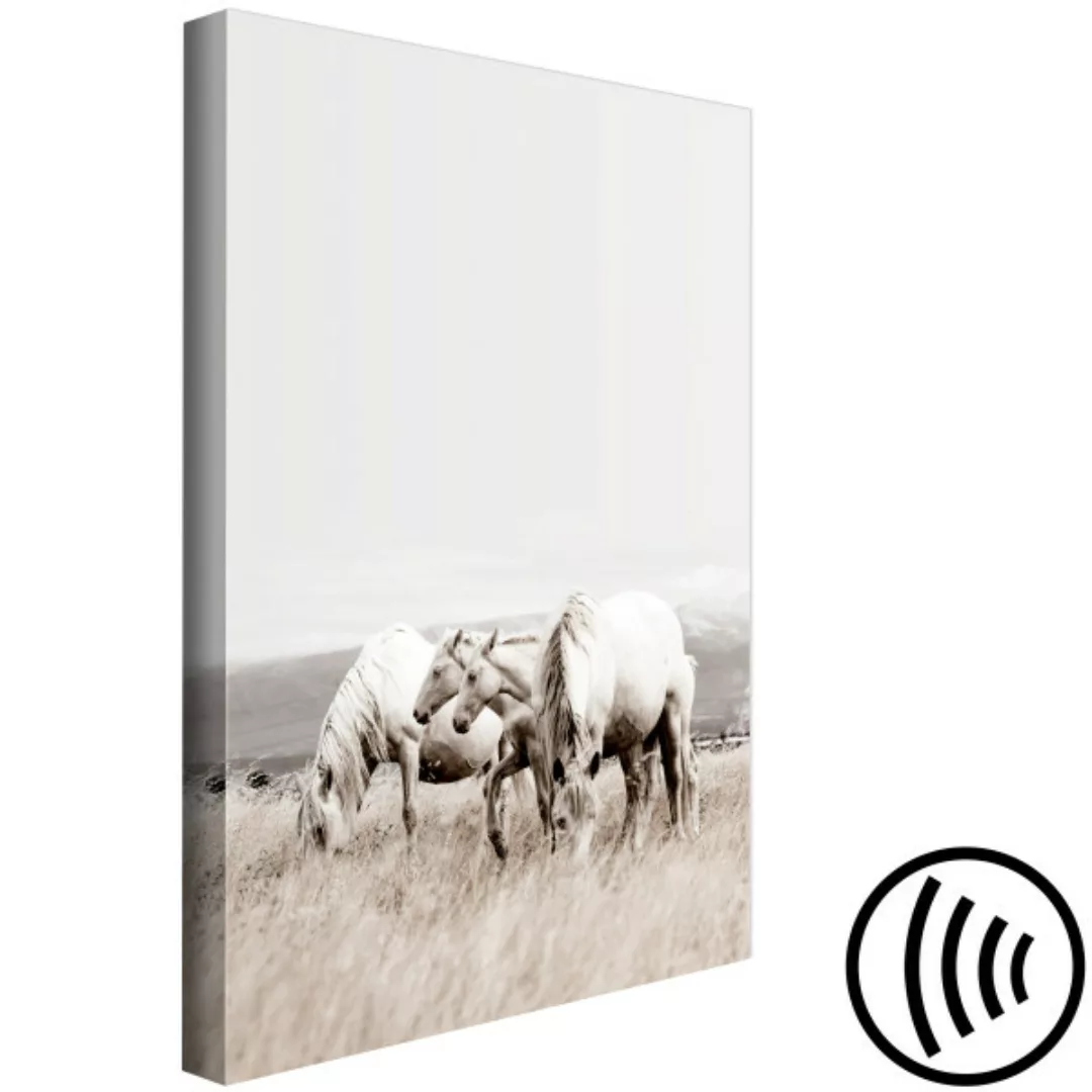 Wandbild White Horses (1 Part) Vertical XXL günstig online kaufen
