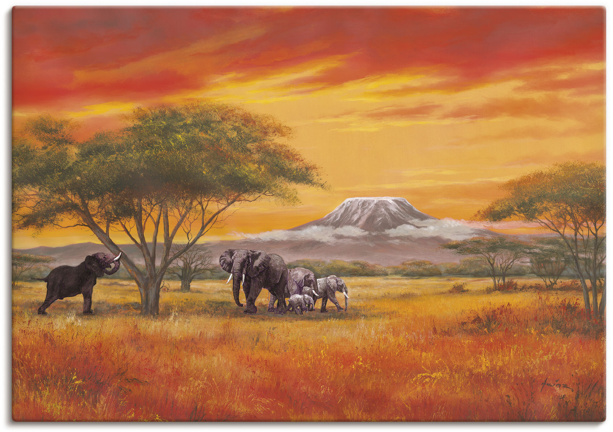 Artland Wandbild »Elefanten«, Elefanten Bilder, (1 St.), als Alubild, Outdo günstig online kaufen
