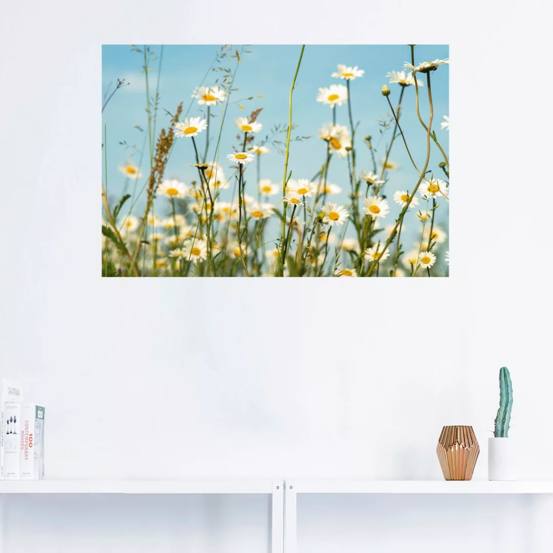 Artland Wandbild "Margeriten vor Sommer Himmel", Blumenbilder, (1 St.) günstig online kaufen
