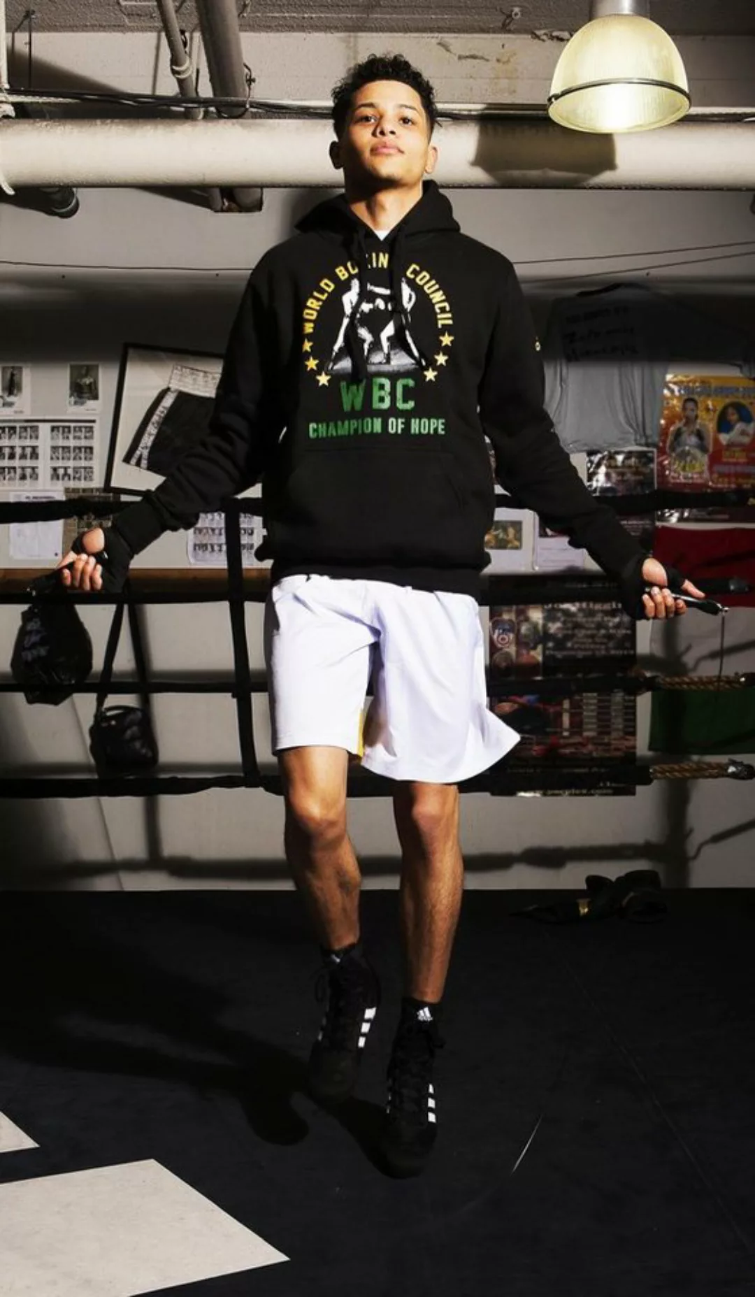 adidas Performance Hoodie WBC Hoody Heritage günstig online kaufen