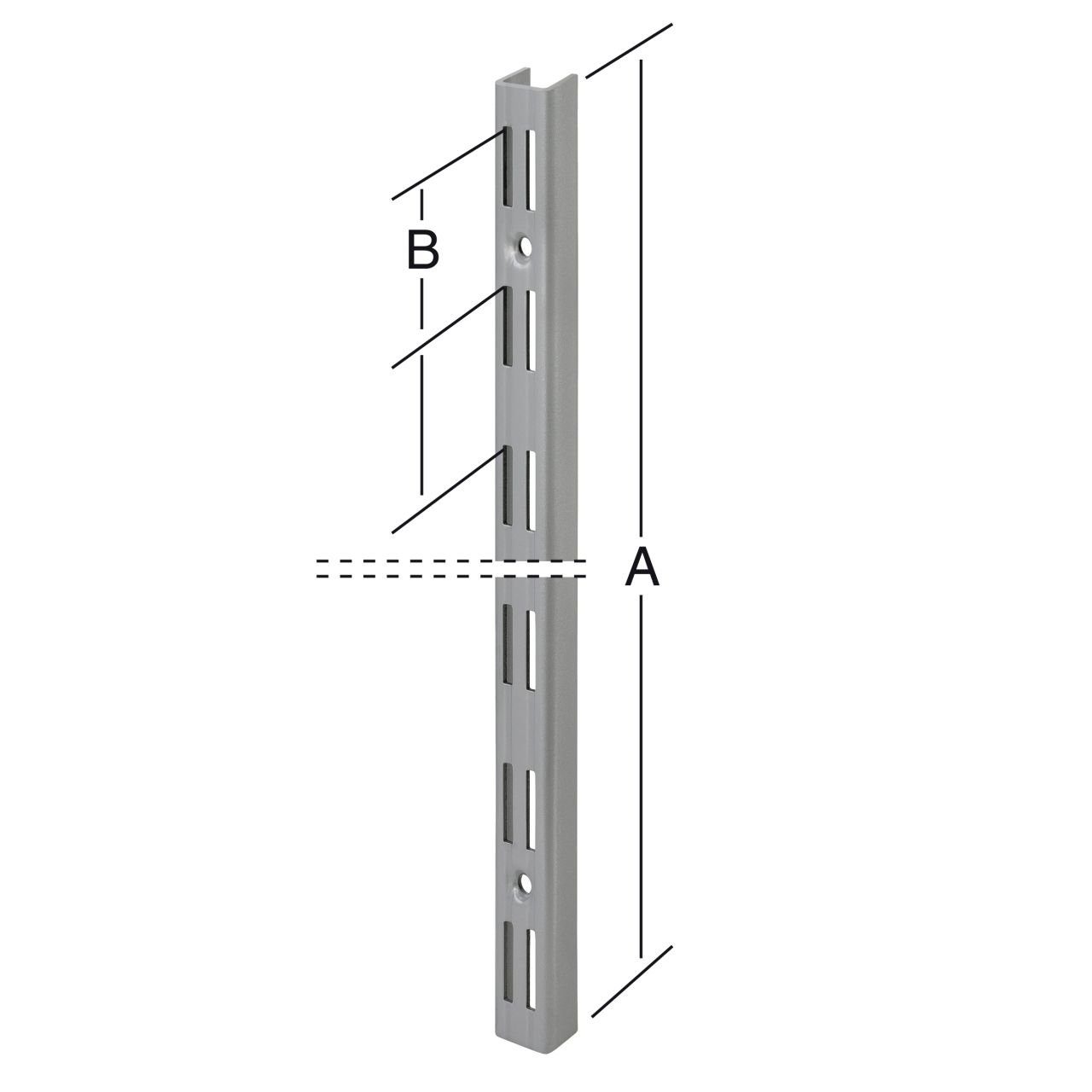 Trend Line Wandregalhalter TrendLine Wandschiene 2-reihig günstig online kaufen