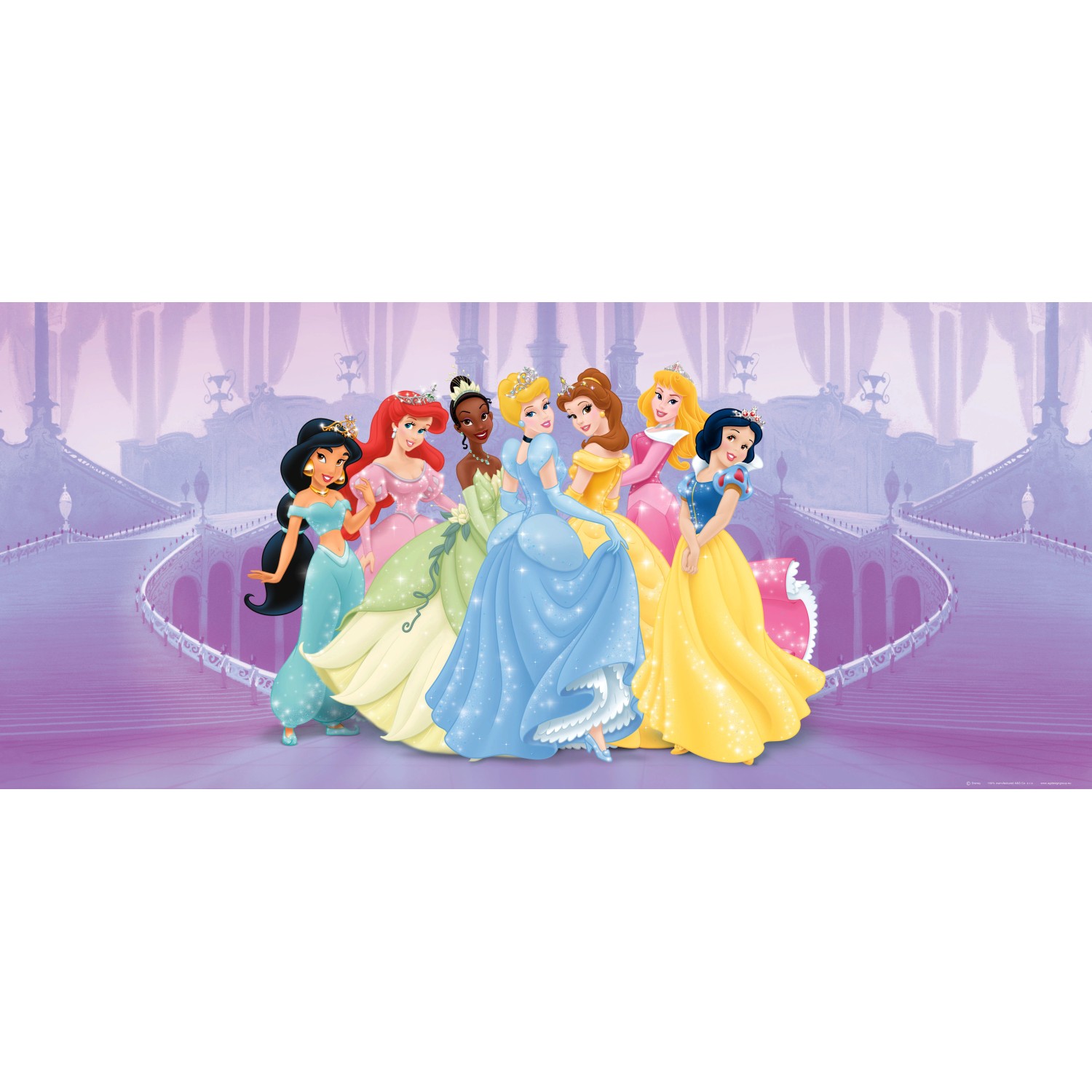 Disney Poster Prinzessinnen Lila 202 x 90 cm 600866 günstig online kaufen