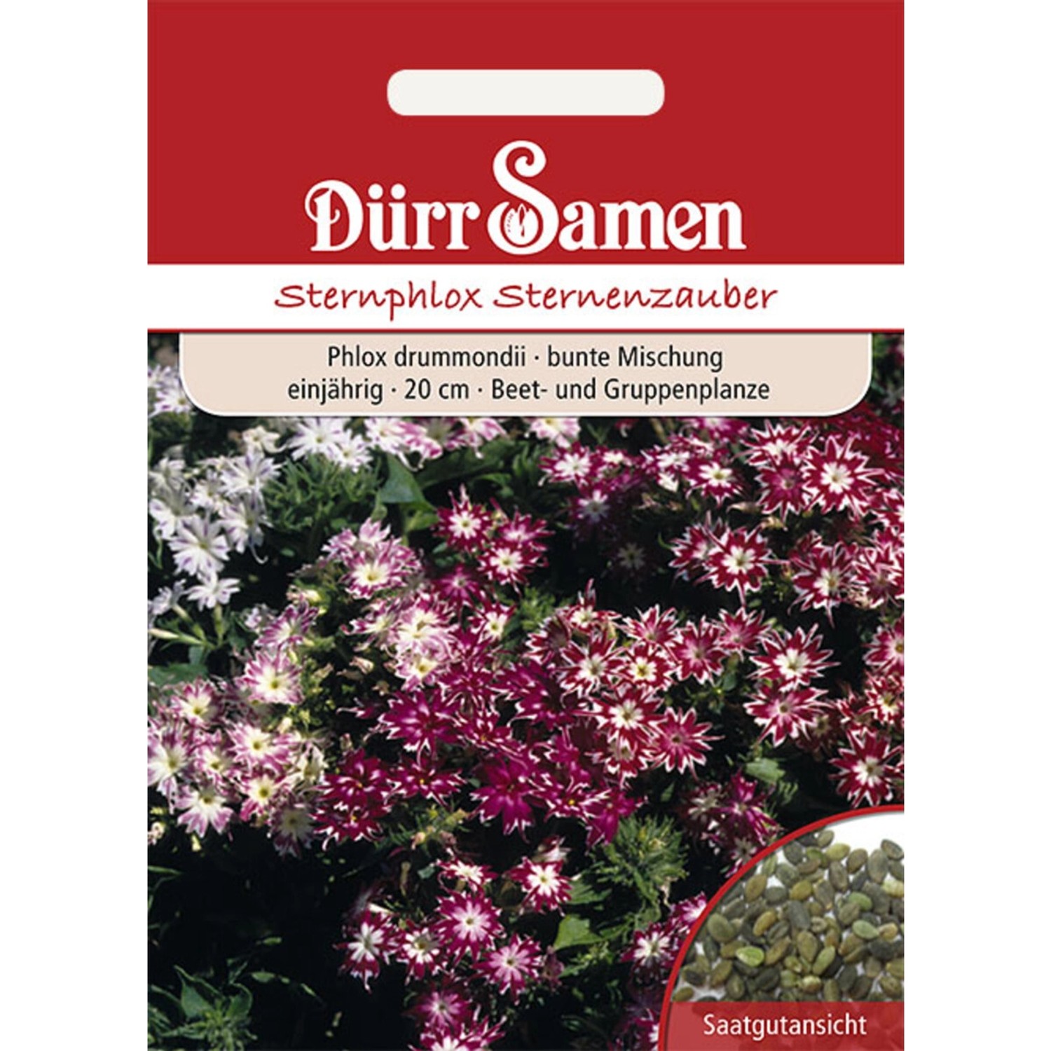 Dürr Samen Sternphlox Mischung Einjährig Saatgut günstig online kaufen
