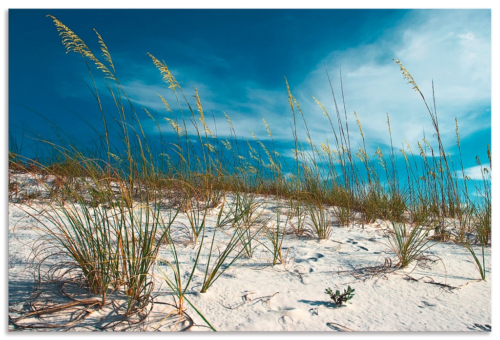 Artland Wandbild »Sanddüne und Gräser«, Strand, (1 St.), als Alubild, Outdo günstig online kaufen