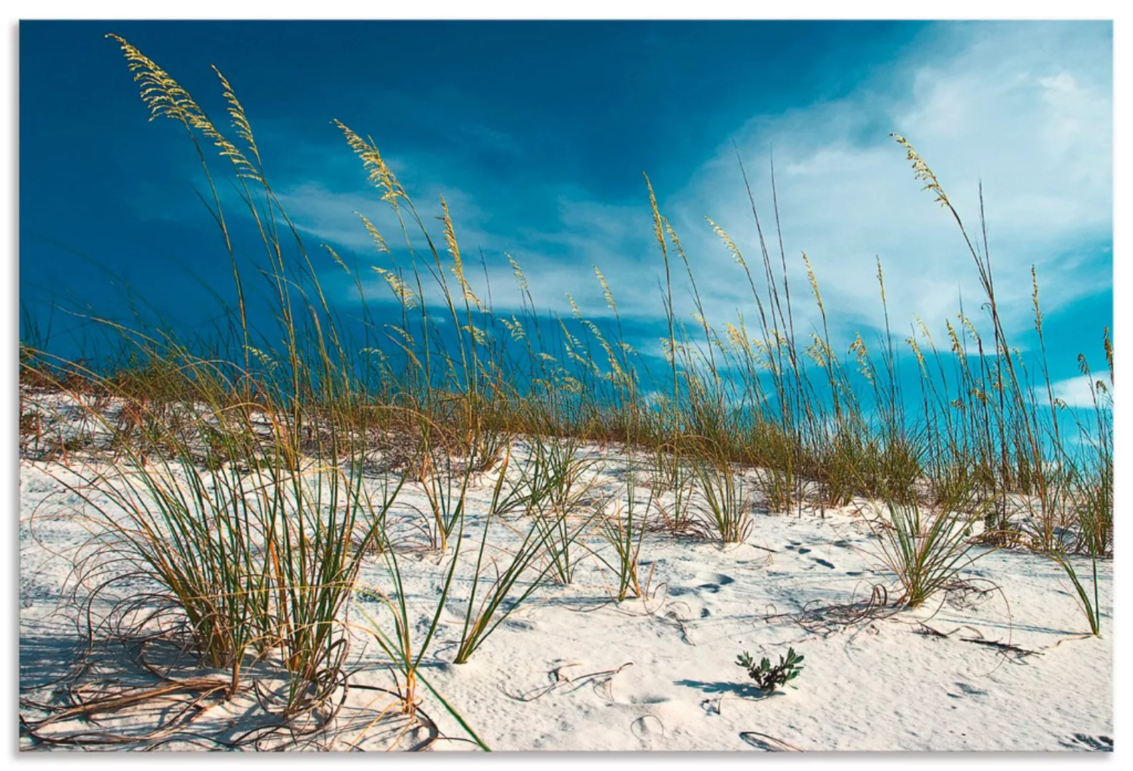 Artland Wandbild "Sanddüne und Gräser", Strand, (1 St.), als Alubild, Outdo günstig online kaufen