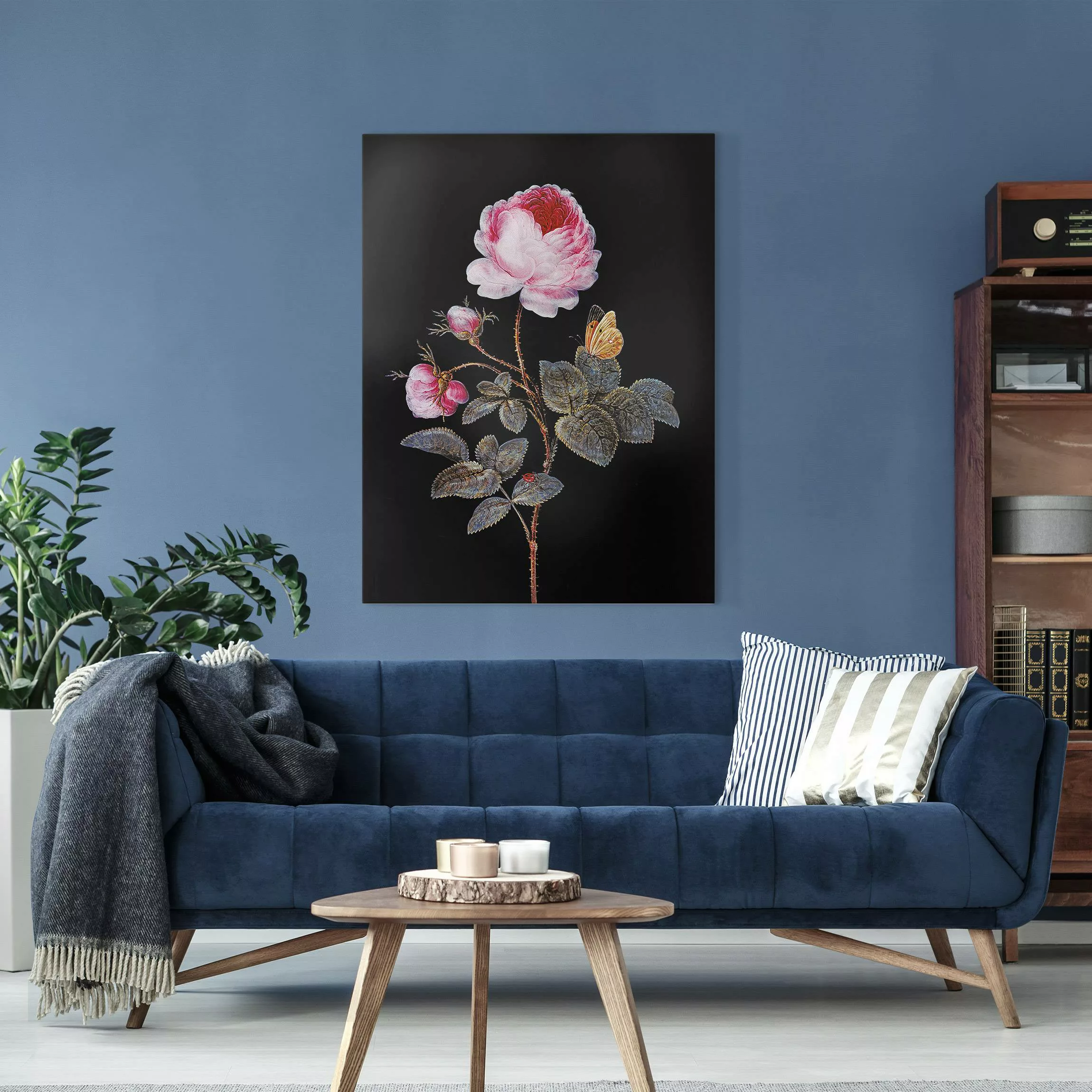 Leinwandbild Barbara Regina Dietzsch - Die hundertblättrige Rose günstig online kaufen