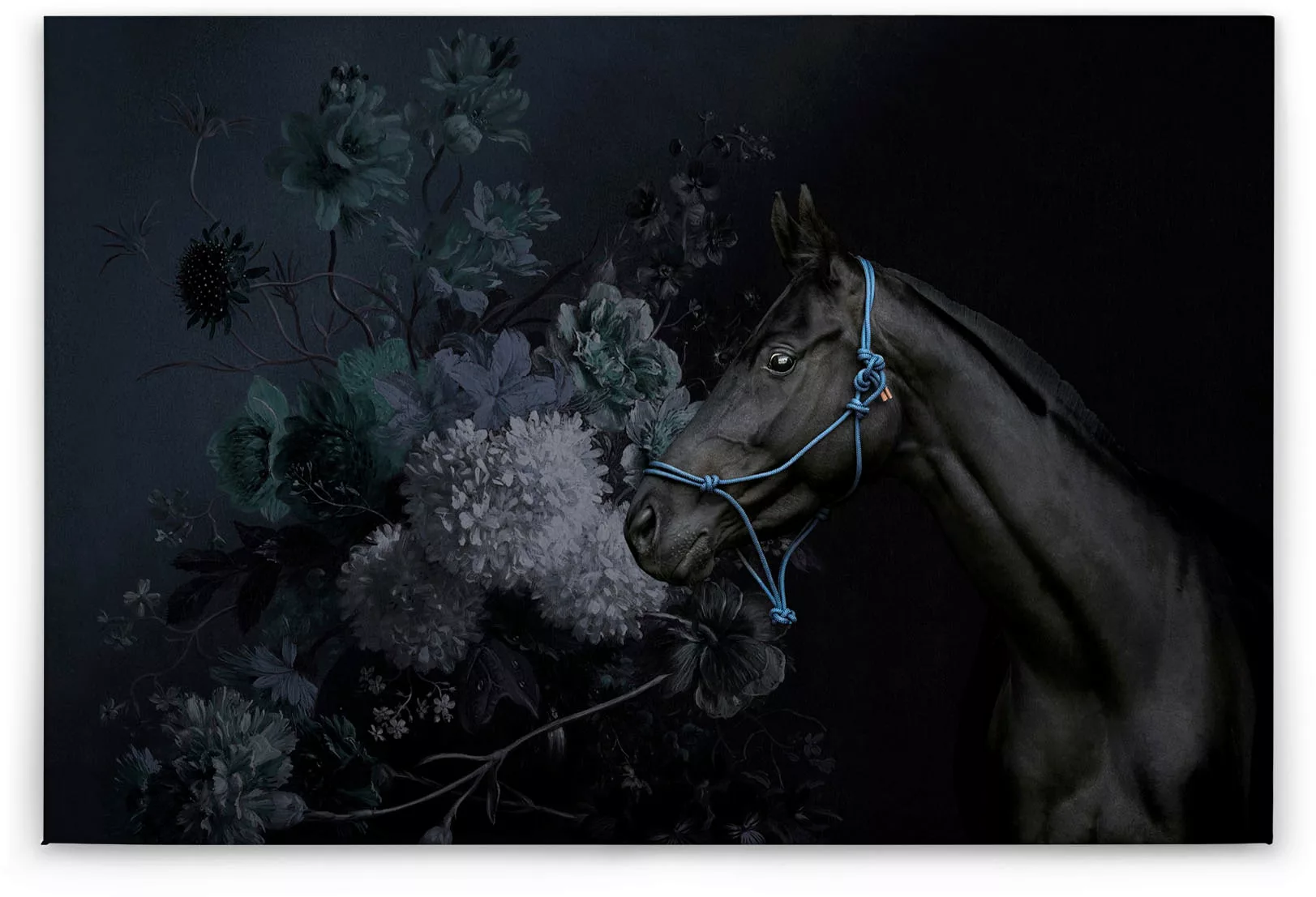 A.S. Création Leinwandbild "horses", Tiere, (1 St.), Keilrahmen Bild Blumen günstig online kaufen