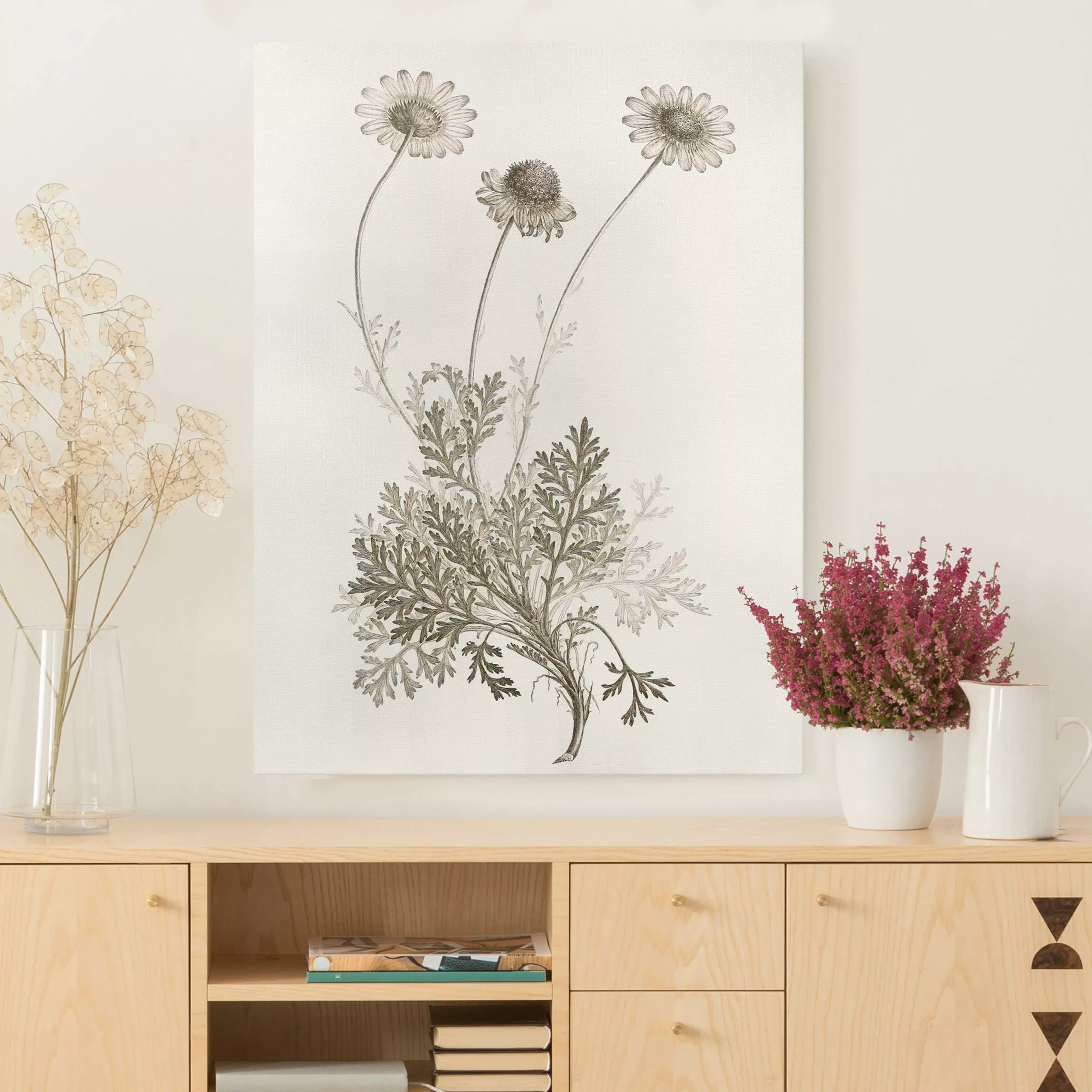 Leinwandbild Botanische Studie in Sepia III günstig online kaufen