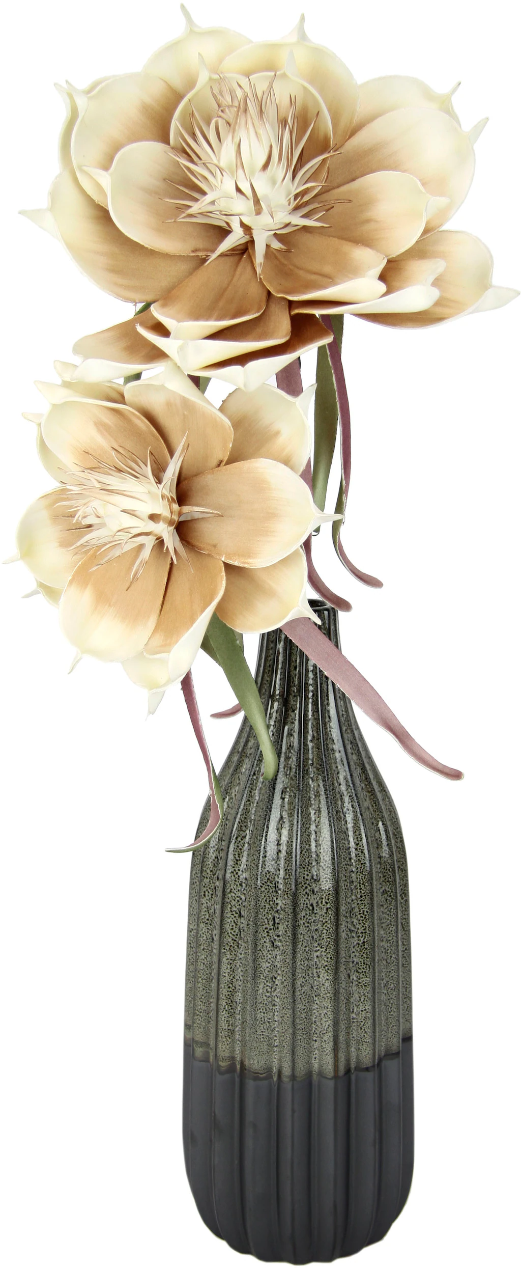 I.GE.A. Kunstblume "Magnolie", In Keramikvase günstig online kaufen
