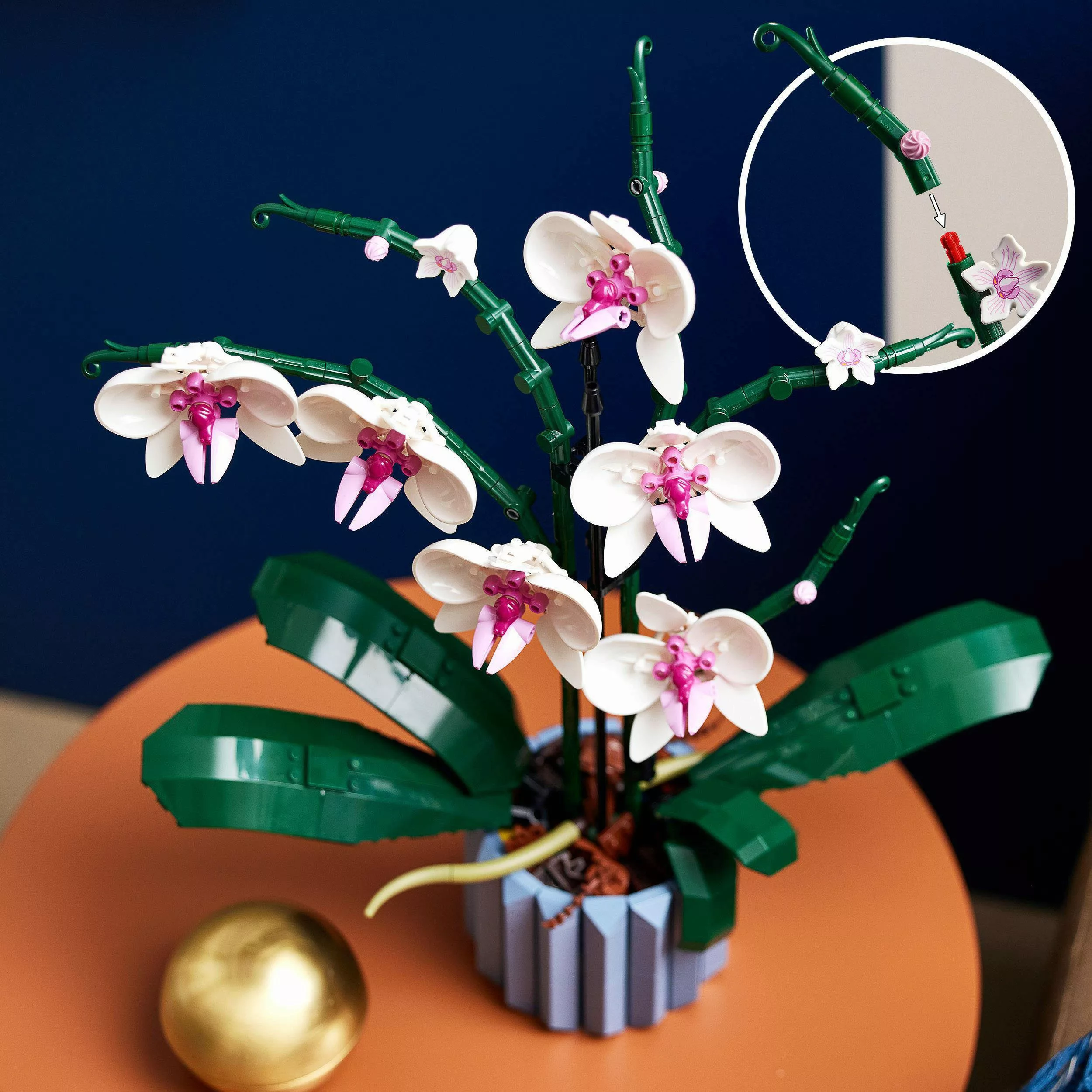LEGO® Orchidee (10311), LEGO Botanicals Konstruktionsspielsteine, günstig online kaufen