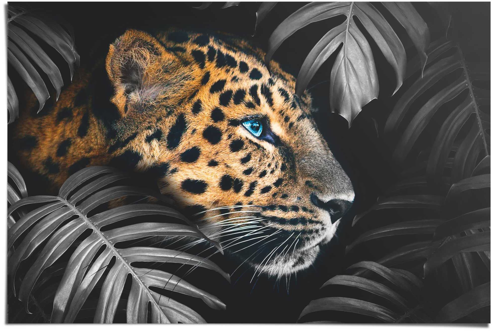 Reinders Poster "Leopard Jungle - Eyecatcher - Tiermotiv - Modern", (1 St.) günstig online kaufen