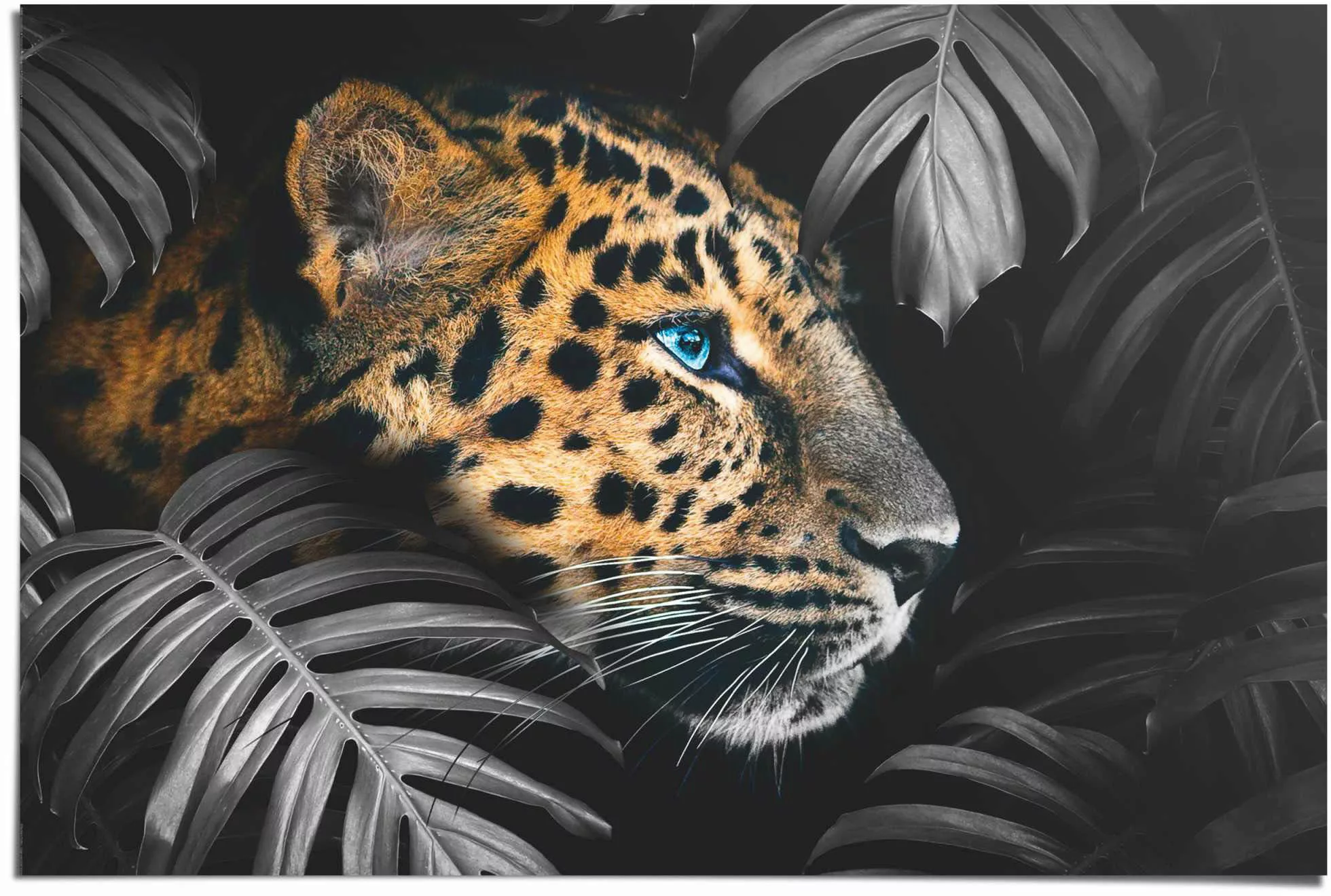 Reinders Poster "Leopard Jungle - Eyecatcher - Tiermotiv - Modern", (1 St.) günstig online kaufen