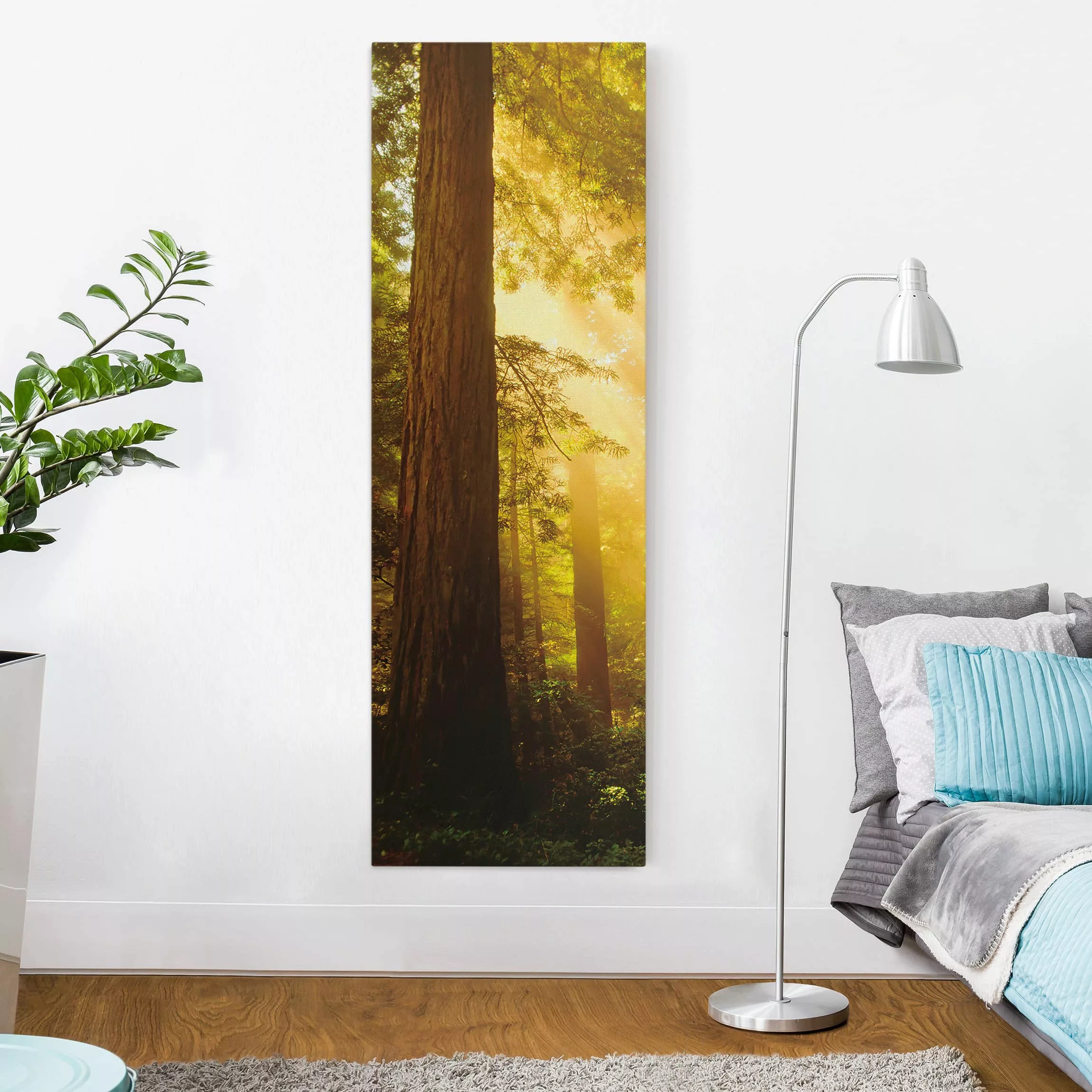 Leinwandbild Wald - Hochformat Morgengold günstig online kaufen