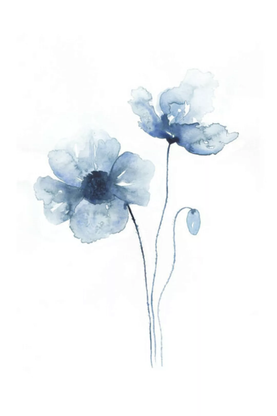Poster / Leinwandbild - Blue Poppies No. 2 günstig online kaufen