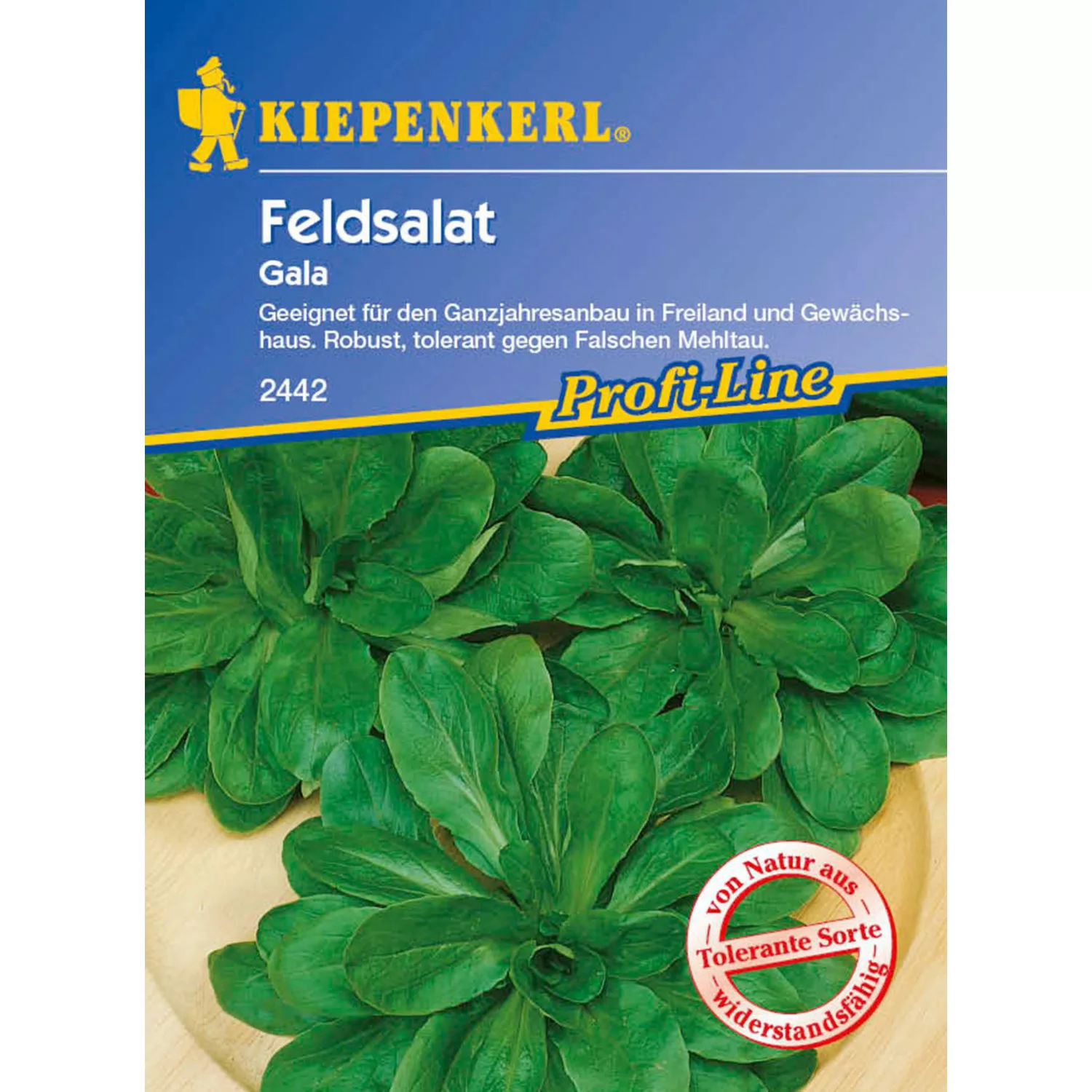 Kiepenkerl Feldsalat Gala günstig online kaufen