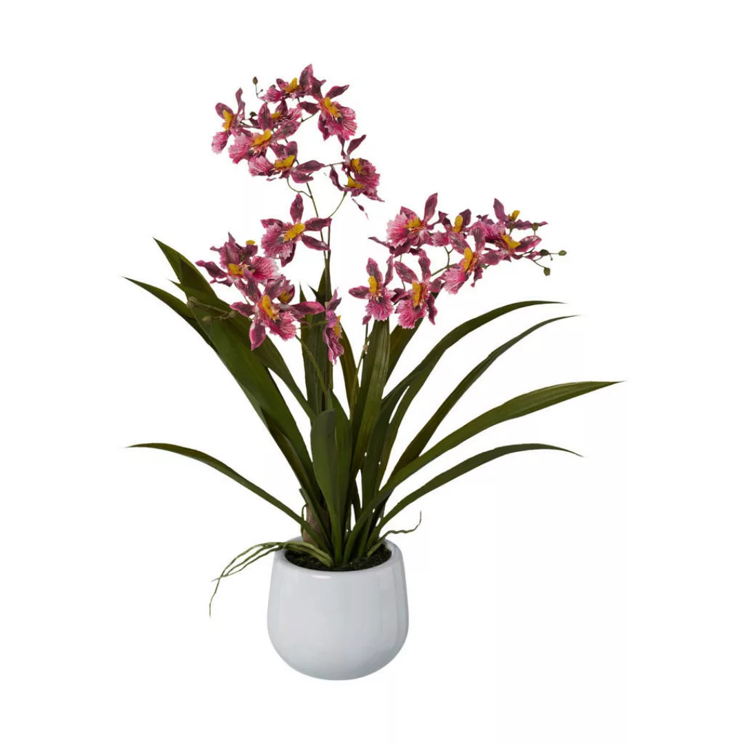 Kunstpflanze Cambria-Orchidee rosa Kunststoff B/H/L: ca. 17x55x17 cm günstig online kaufen