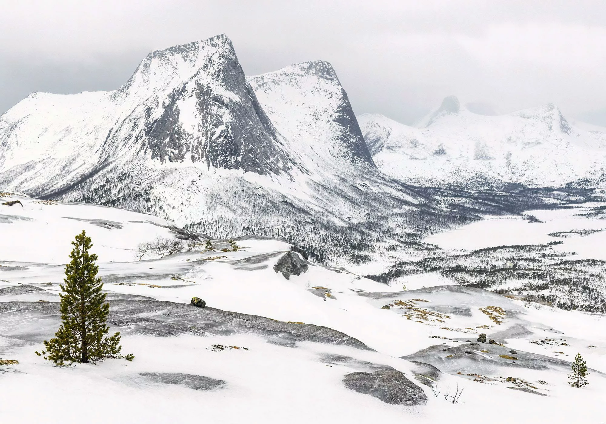 Fototapete White Enchanted Mountains günstig online kaufen