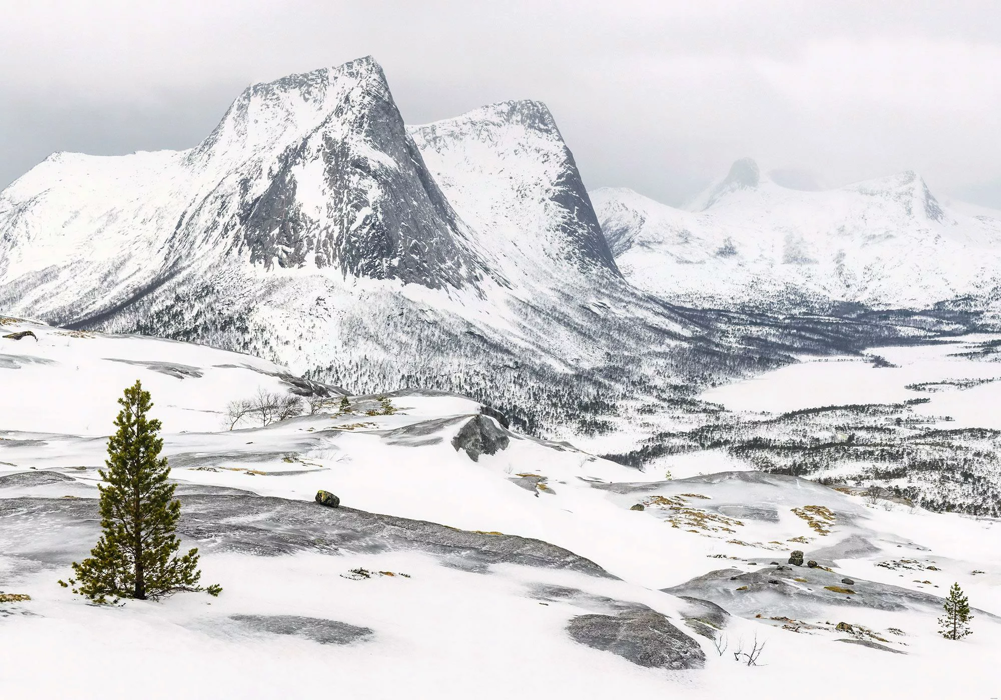 KOMAR Vlies Fototapete - White Enchanted Mountains - Größe 400 x 280 cm meh günstig online kaufen