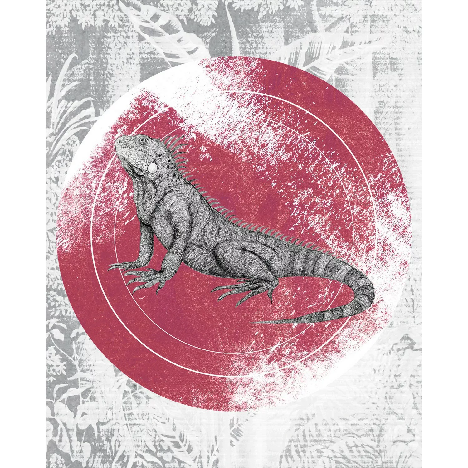 Komar Wandbild Iguana Circle 40 x 50 cm günstig online kaufen