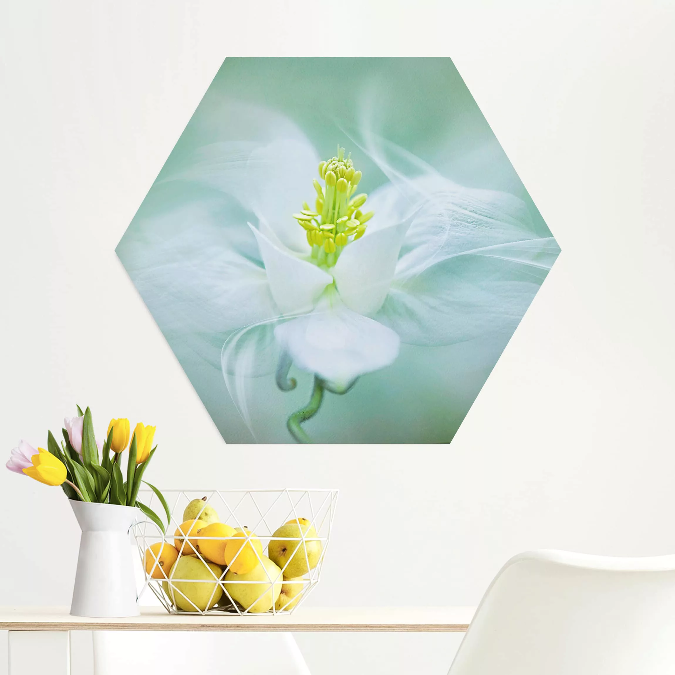 Hexagon-Alu-Dibond Bild Blumen Weiße Akelei günstig online kaufen