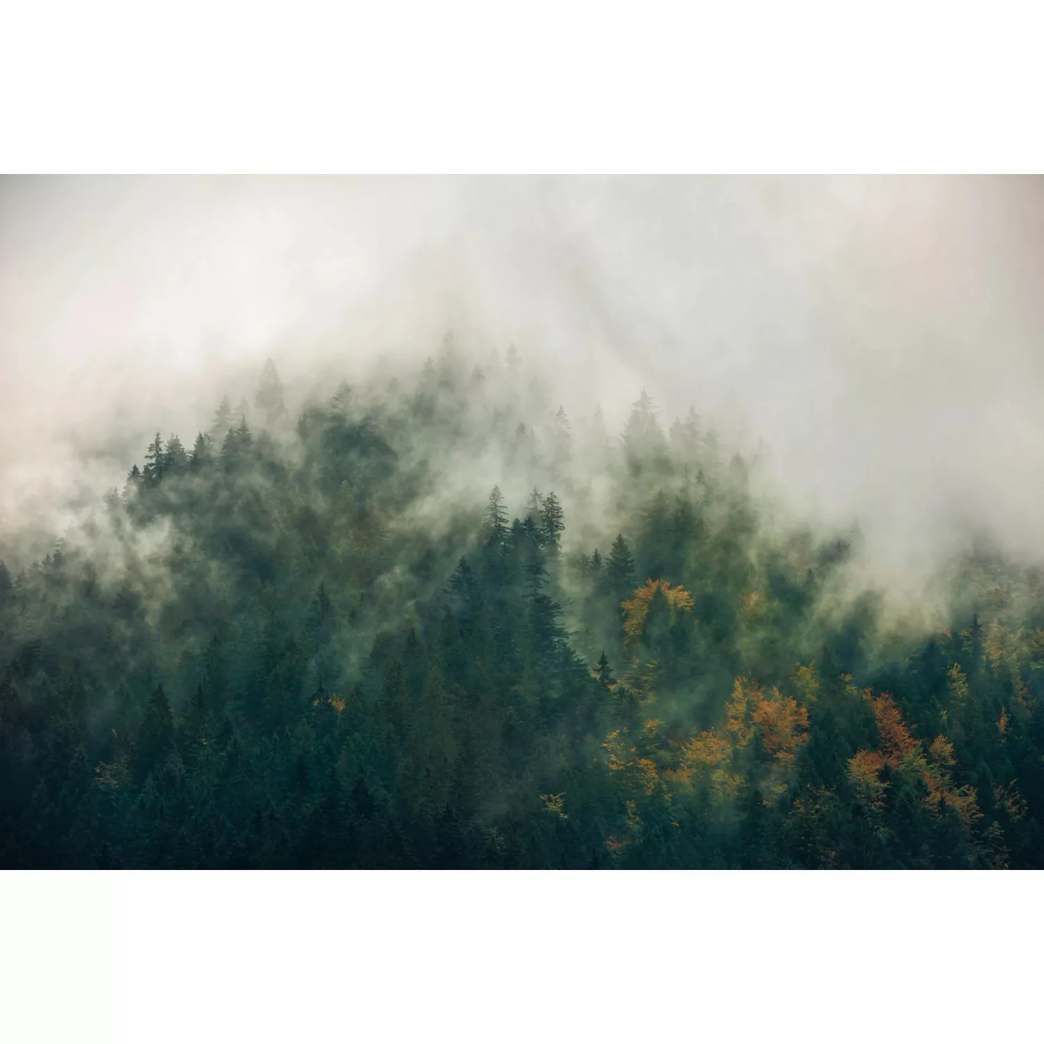 Komar Fototapete Vlies Tales of the Carpathians  300 x 200 cm günstig online kaufen