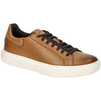 Geox  Halbschuhe Schnuerschuhe U455WD-00085/C6002 günstig online kaufen