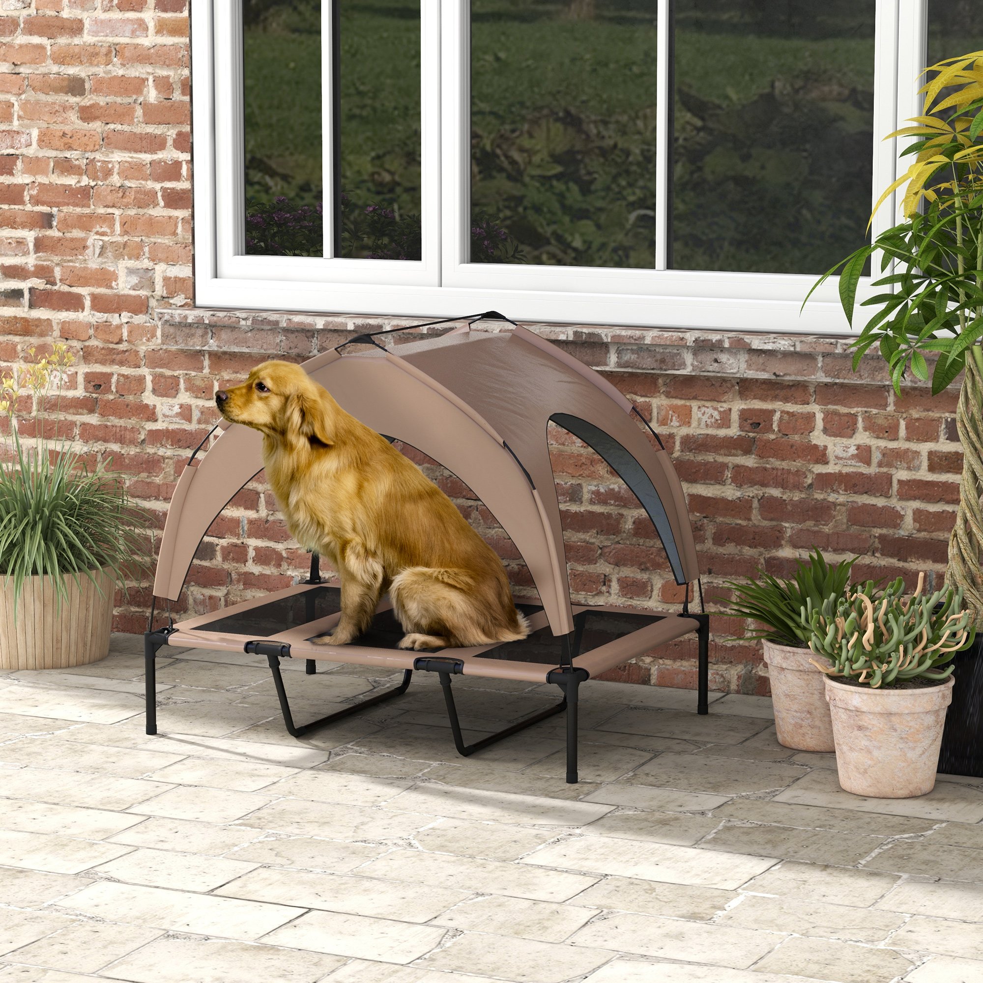 PawHut Erhöhtes Hundebett, Hundeliege, Taffeta-Baldachin, Hundebett, mikrop günstig online kaufen