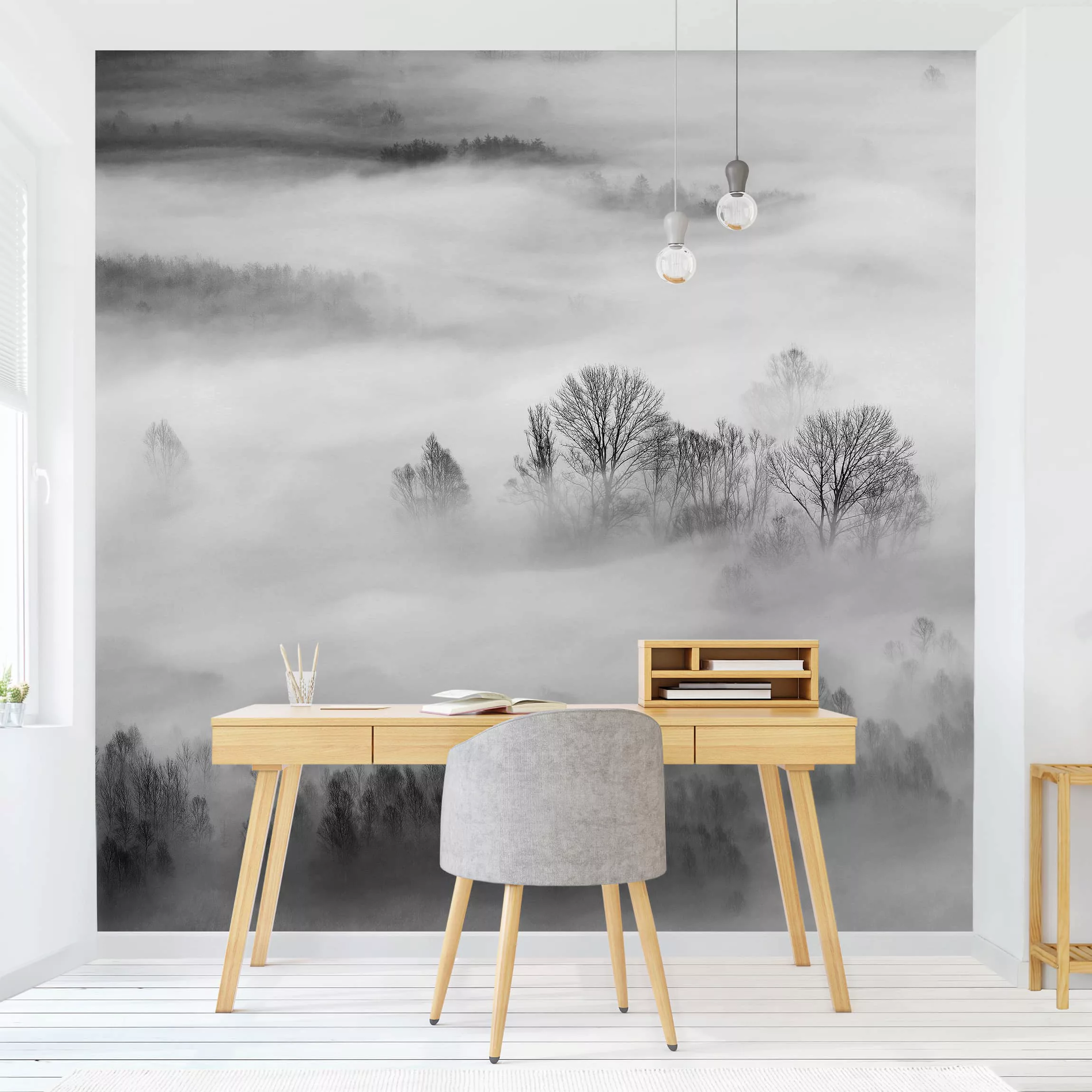 Fototapete Nebel bei Sonnenaufgang Schwarz Weiß günstig online kaufen