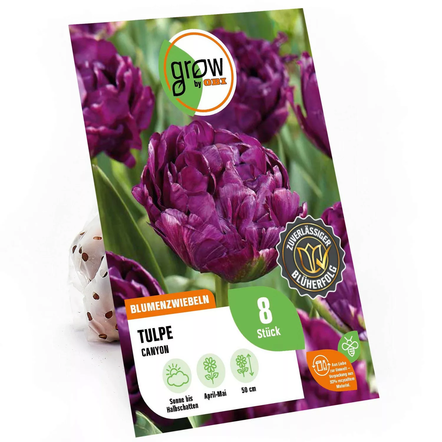 GROW by OBI Tulpe Canyon Purple 50 cm Tulipa günstig online kaufen