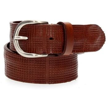 Fabrizio Mancini  Gürtel 6226/S NORS-BRUCIATO günstig online kaufen