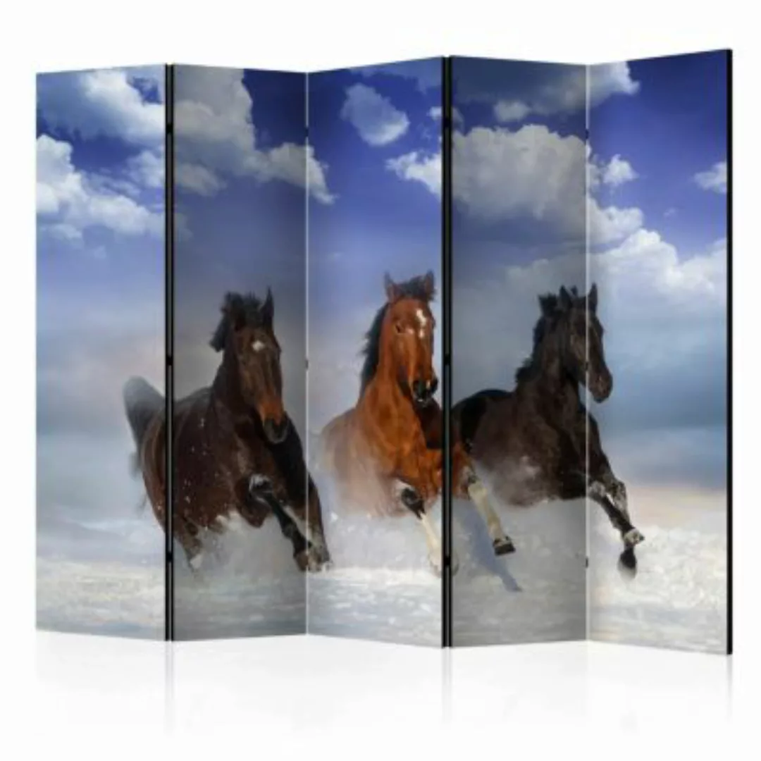 artgeist Paravent Horses in the Snow II [Room Dividers] mehrfarbig Gr. 225 günstig online kaufen