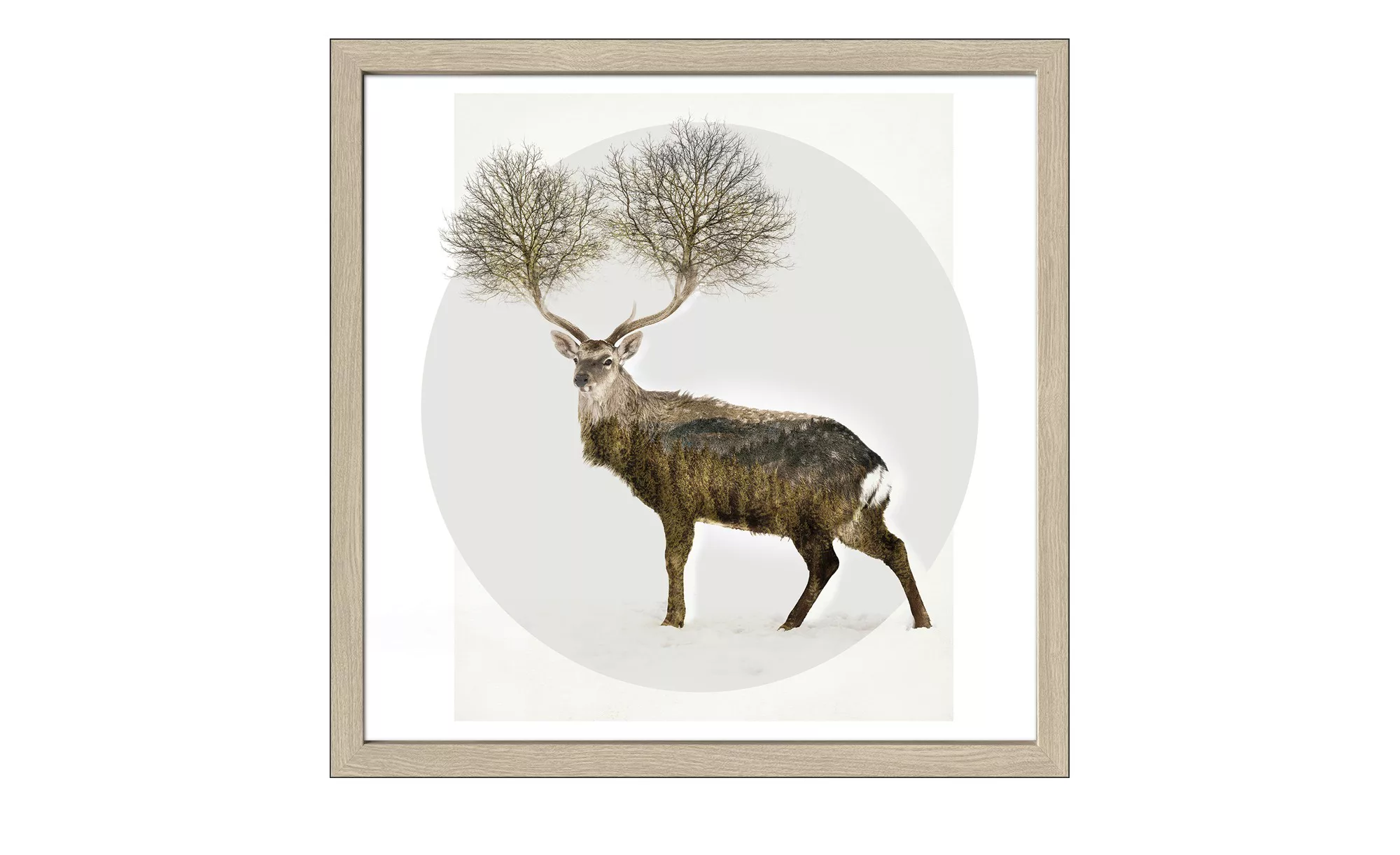 Gerahmtes Bild Scandic  Deer With Trees - 50 cm - 50 cm - Sconto günstig online kaufen