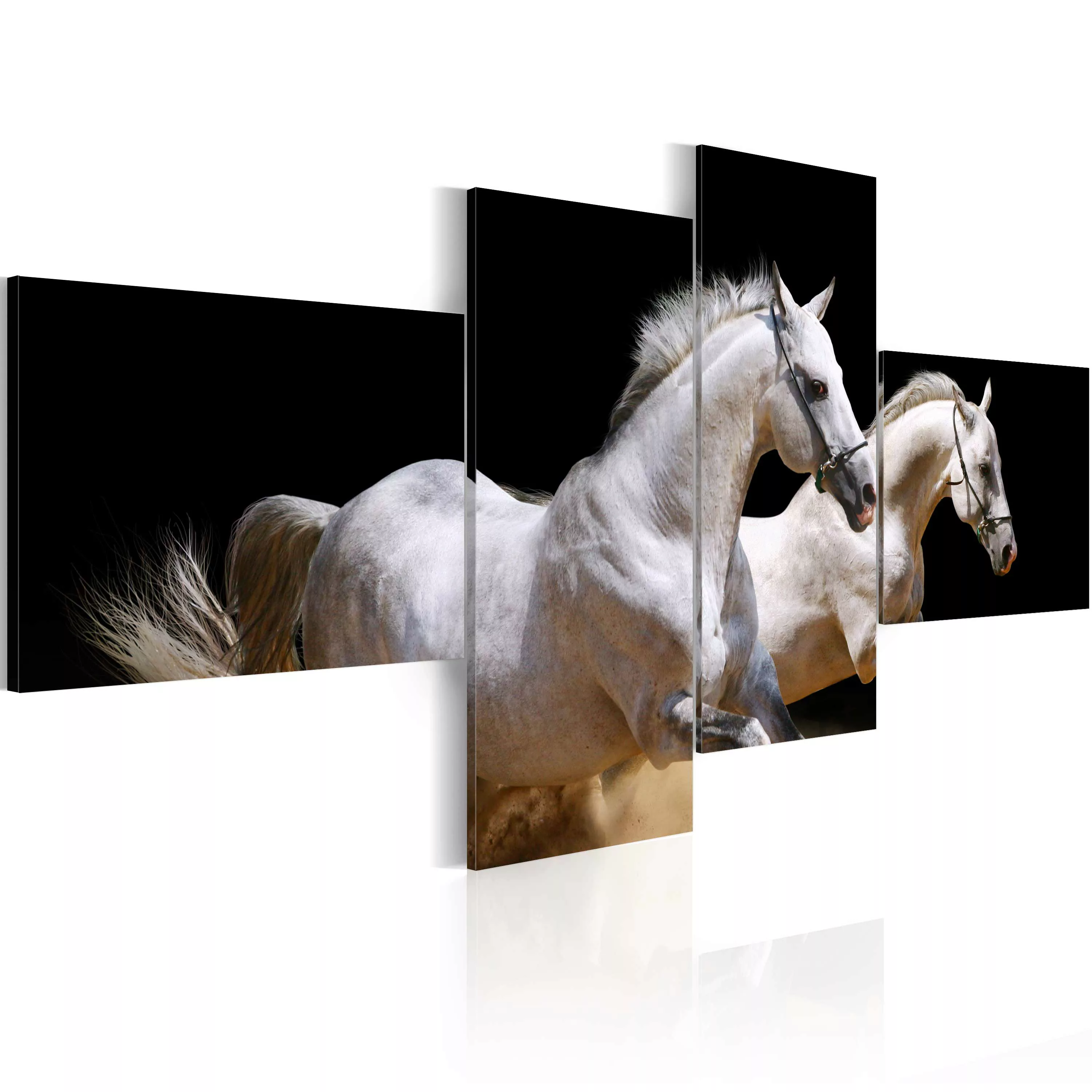 Wandbild - Magische Tierwelt - weiße Pferde in Bewegung günstig online kaufen