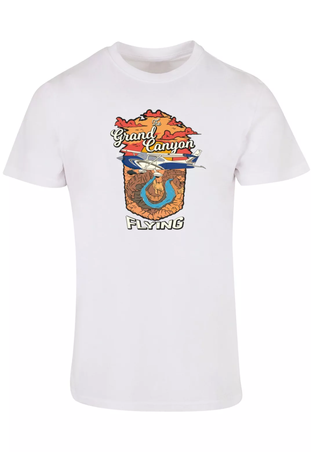 F4NT4STIC T-Shirt "Grand Canyon Flying", Print günstig online kaufen