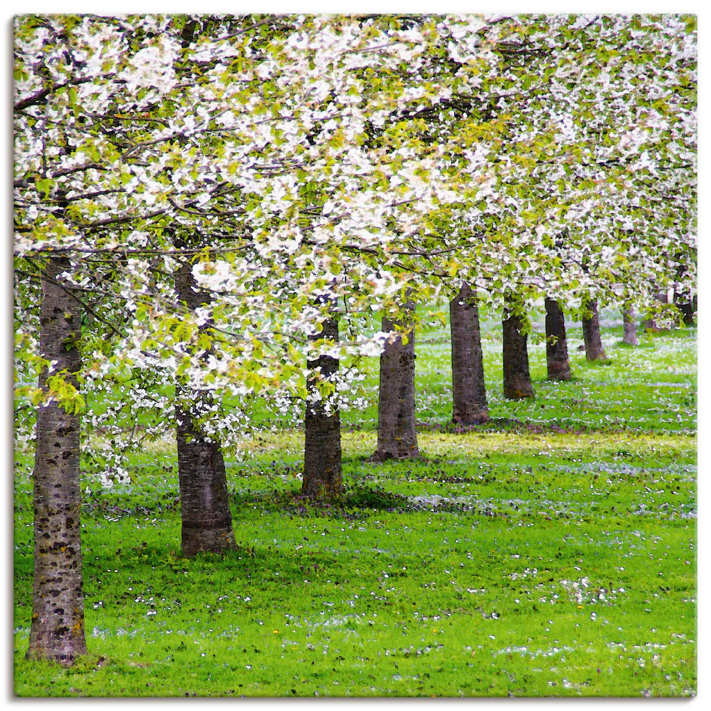 Artland Leinwandbild »Blütenmeer«, Bäume, (1 St.), auf Keilrahmen gespannt günstig online kaufen