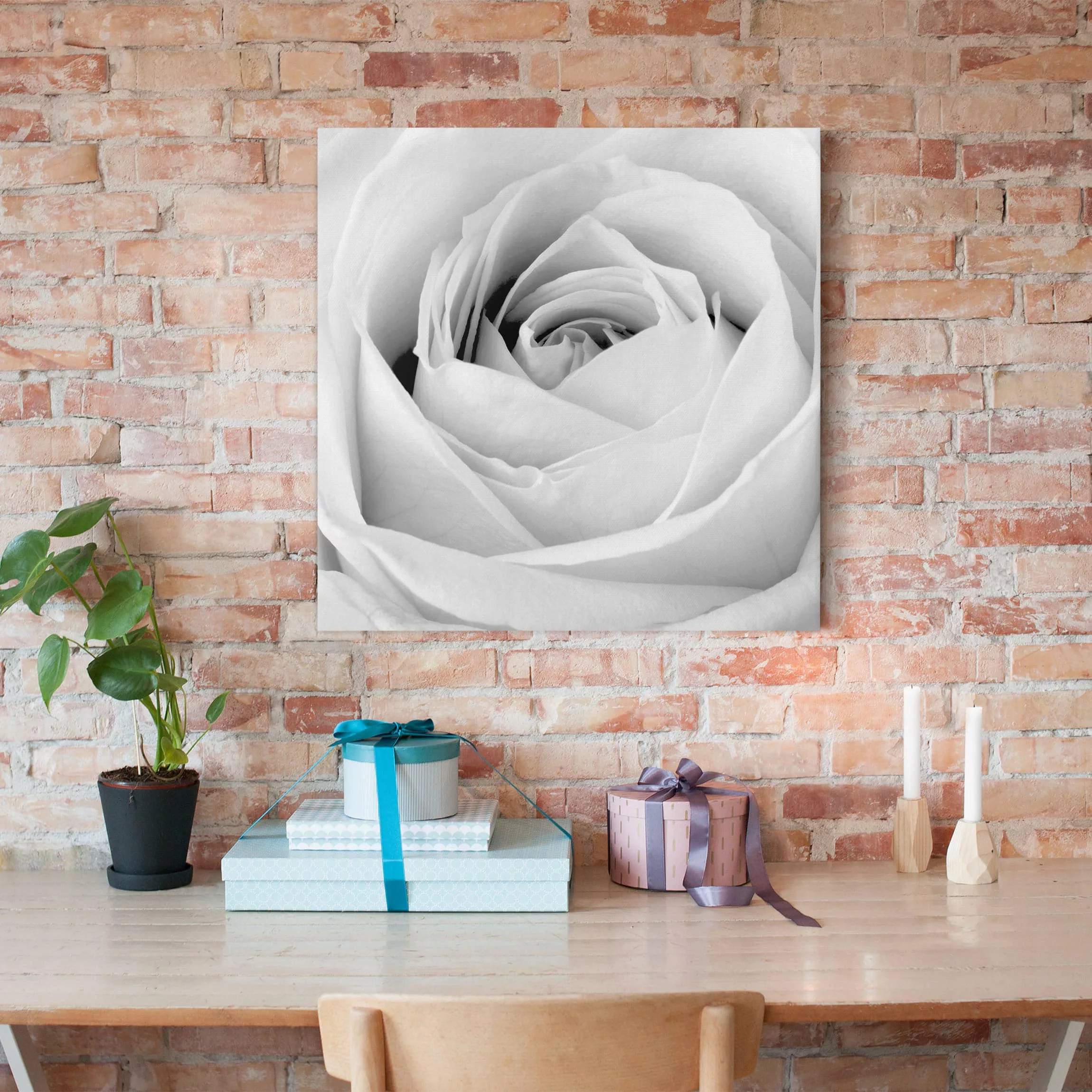 Leinwandbild Blumen - Quadrat Close Up Rose günstig online kaufen