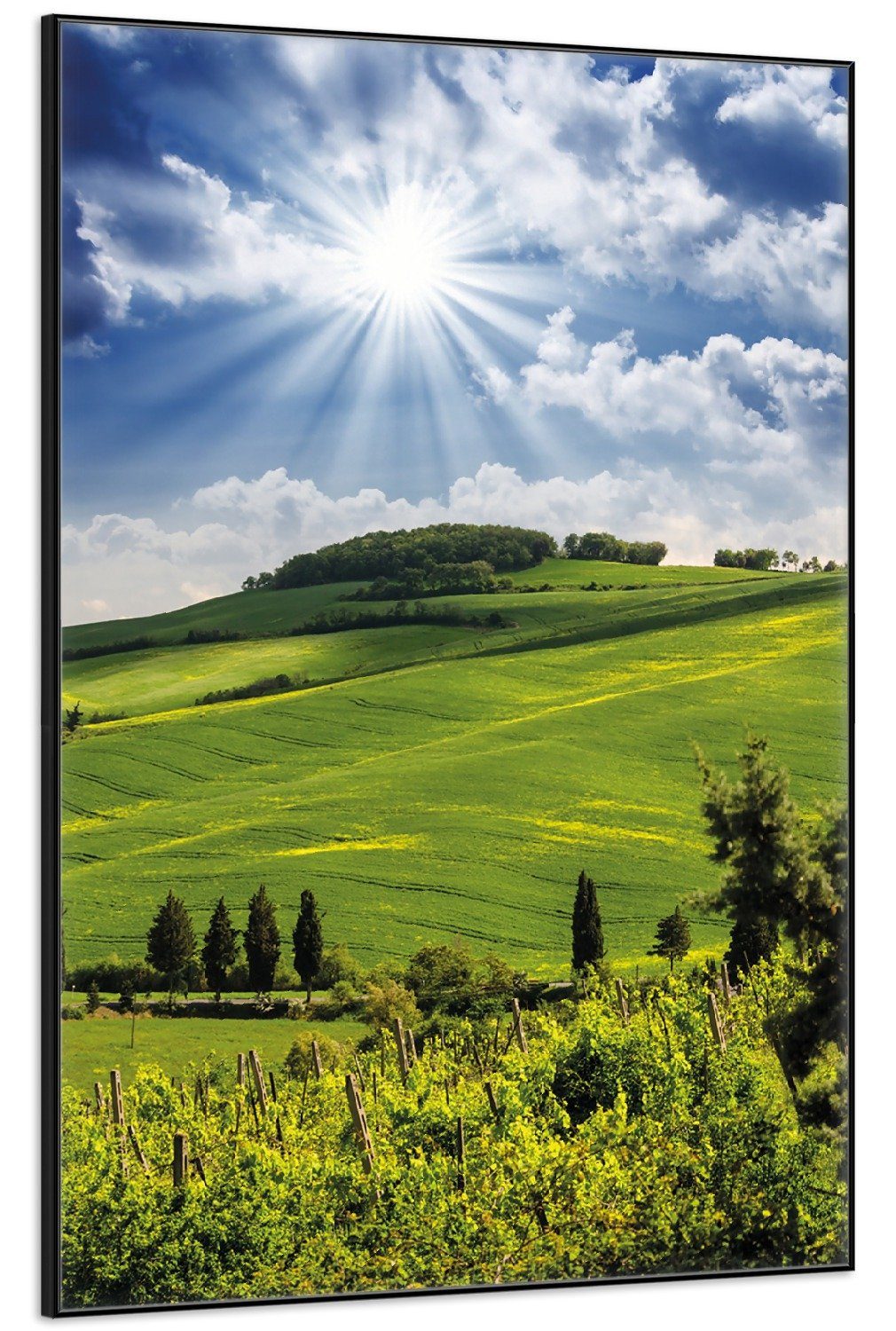 Wallario Poster, Strahlender Sonnenschein, in verschiedenen günstig online kaufen