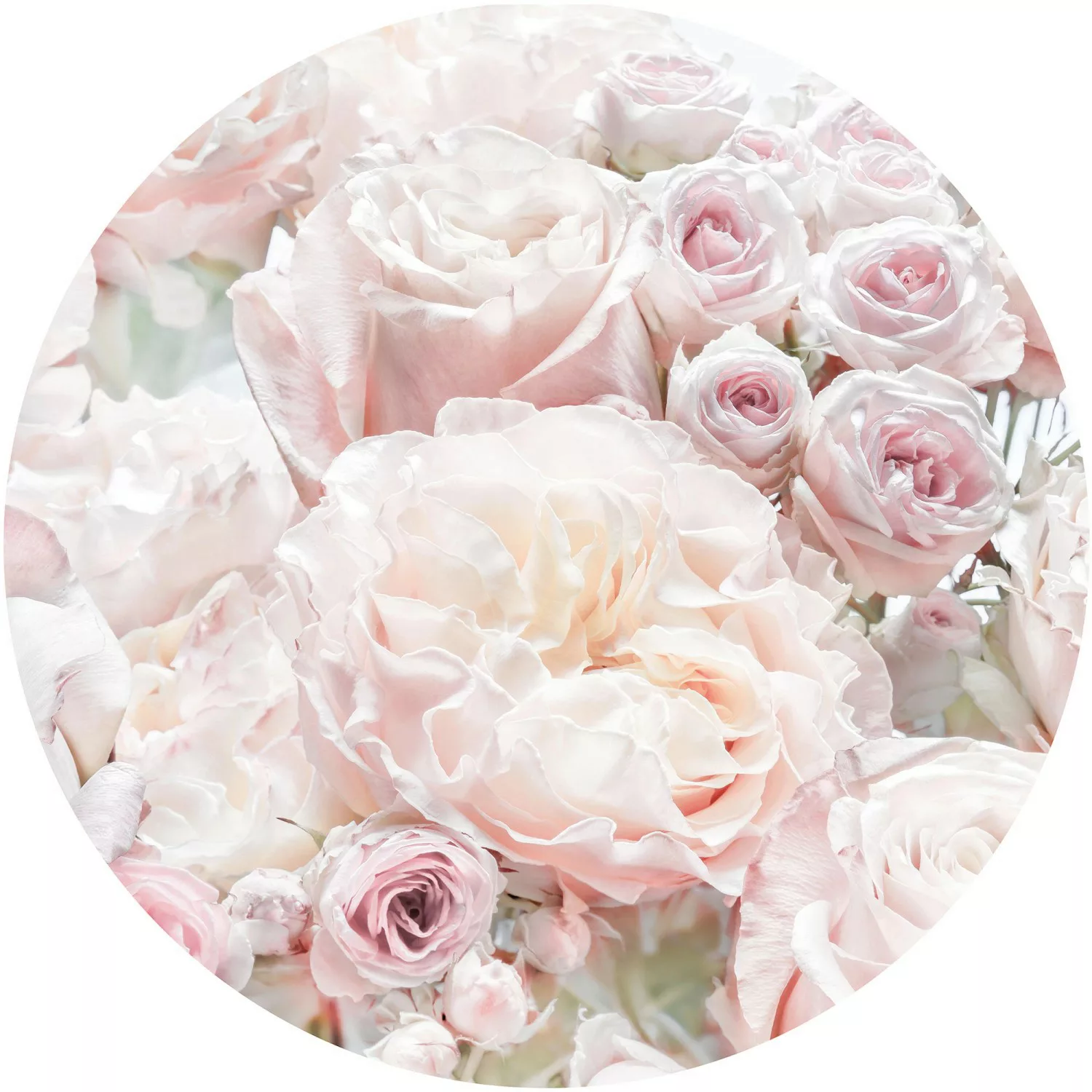 Komar Vliesfototapete Dot Pink and Cream Roses selbstklebend Ø 125 cm günstig online kaufen