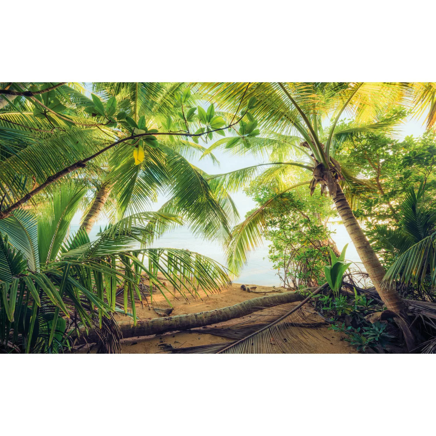 Sanders & Sanders Fototapete Landschaft Grün und Blau 450 x 280 cm 612656 günstig online kaufen