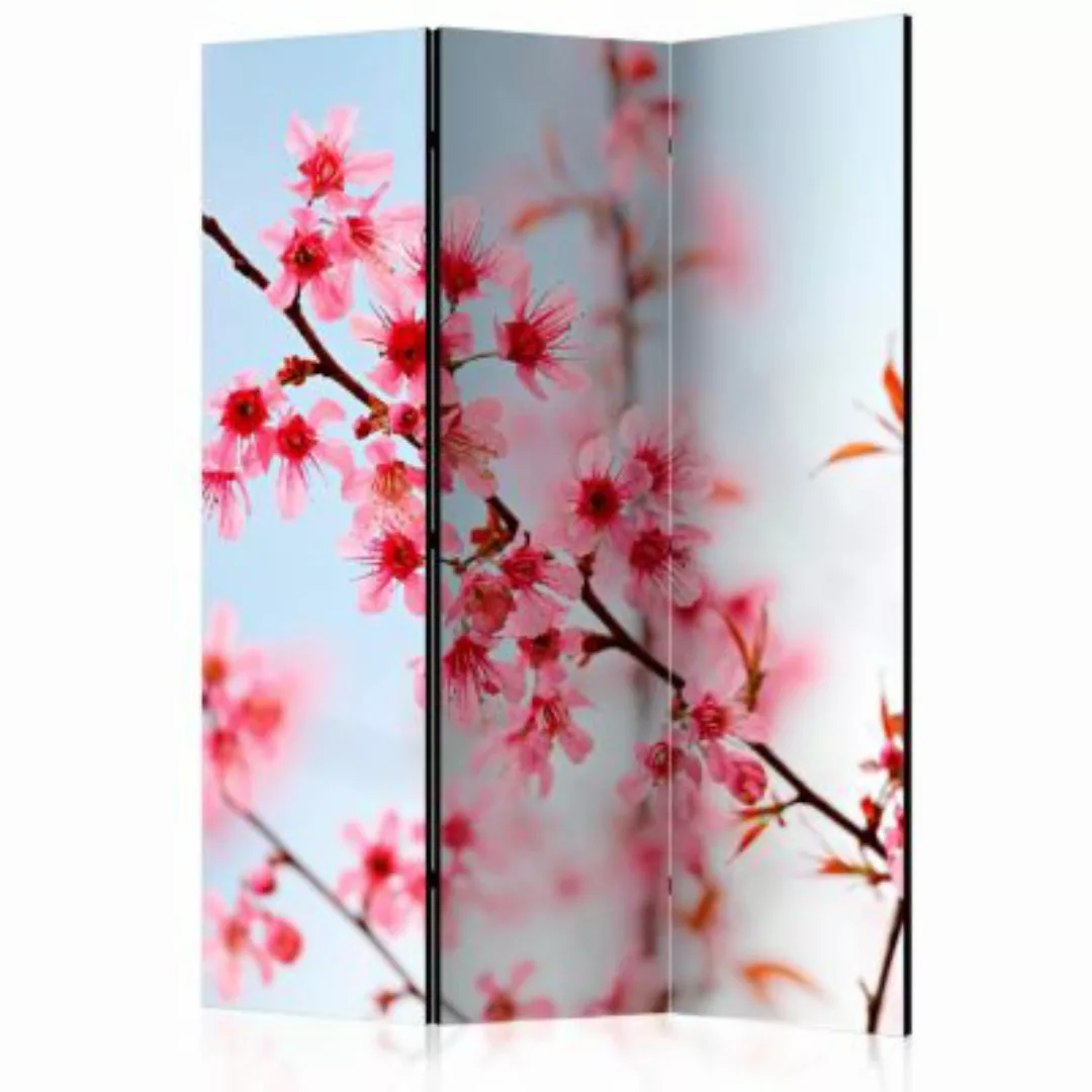 artgeist Paravent Symbol of Japan - sakura flowers [Room Dividers] mehrfarb günstig online kaufen