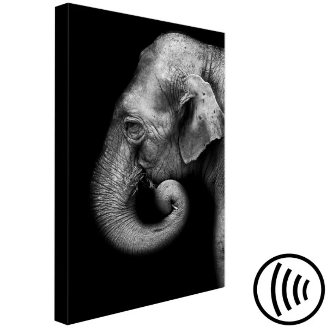 Leinwandbild Portrait of Elephant (1 Part) Vertical XXL günstig online kaufen