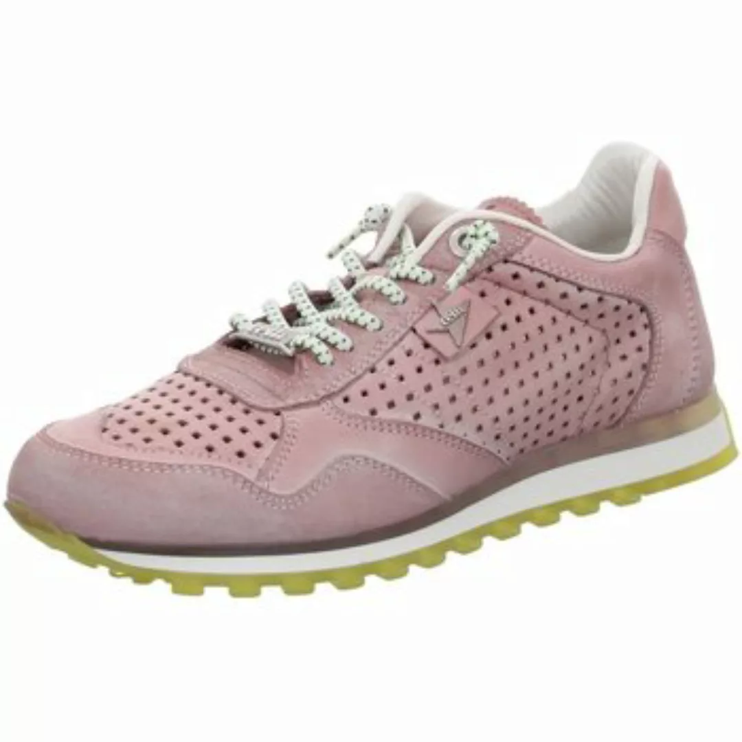 Cetti  Halbschuhe Schnuerschuhe C848 SRA nature tin-old rose günstig online kaufen