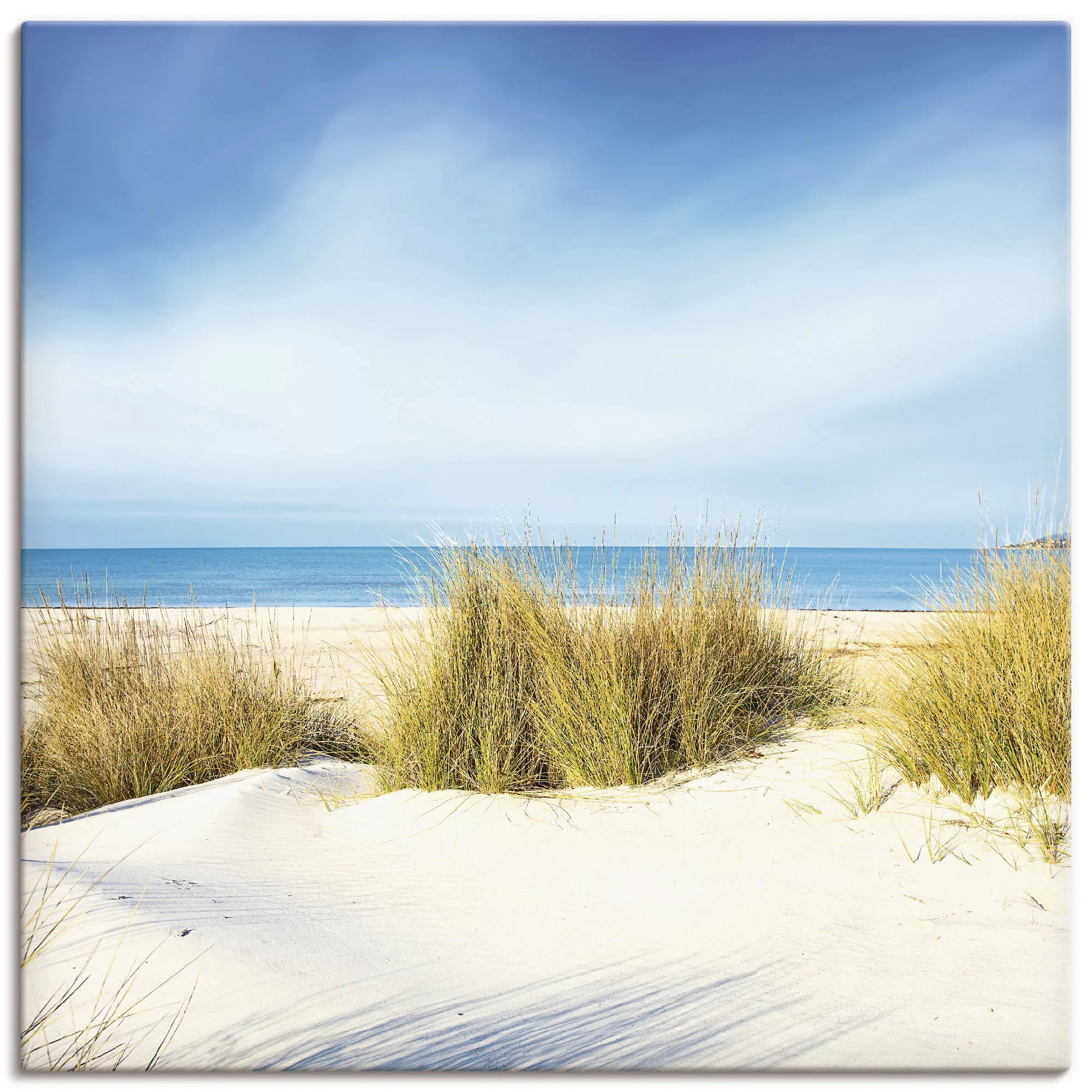 Artland Wandbild »Gras auf Sanddünen«, Strand, (1 St.), als Leinwandbild, P günstig online kaufen