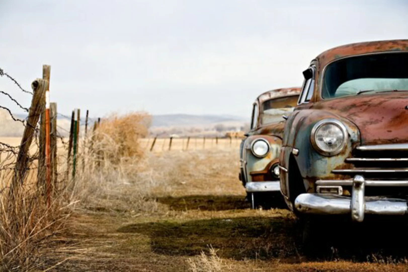 Papermoon Fototapete »Vintage Rusting Cars« günstig online kaufen