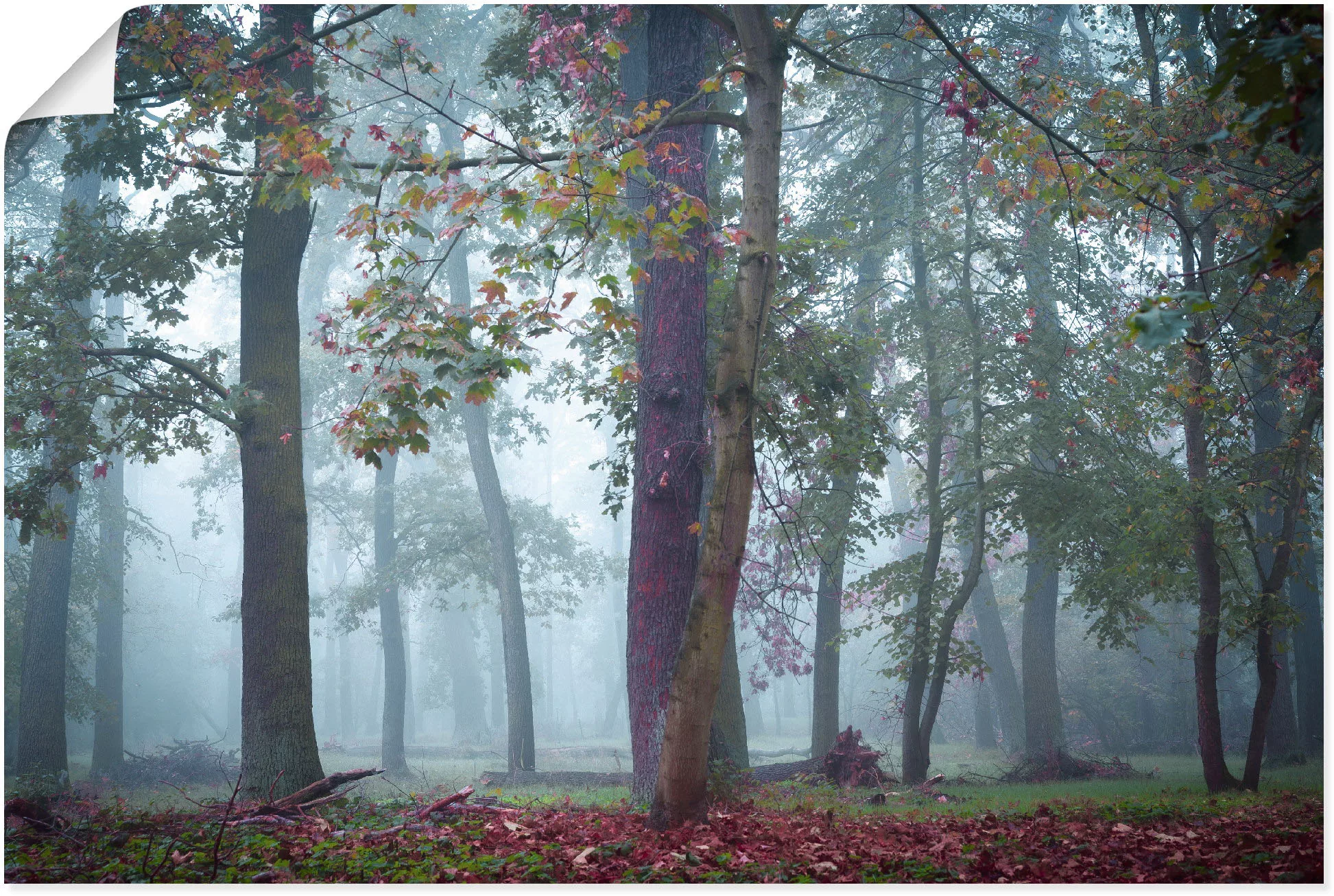 Artland Wandbild »Nebel im Wald«, Waldbilder, (1 St.) günstig online kaufen